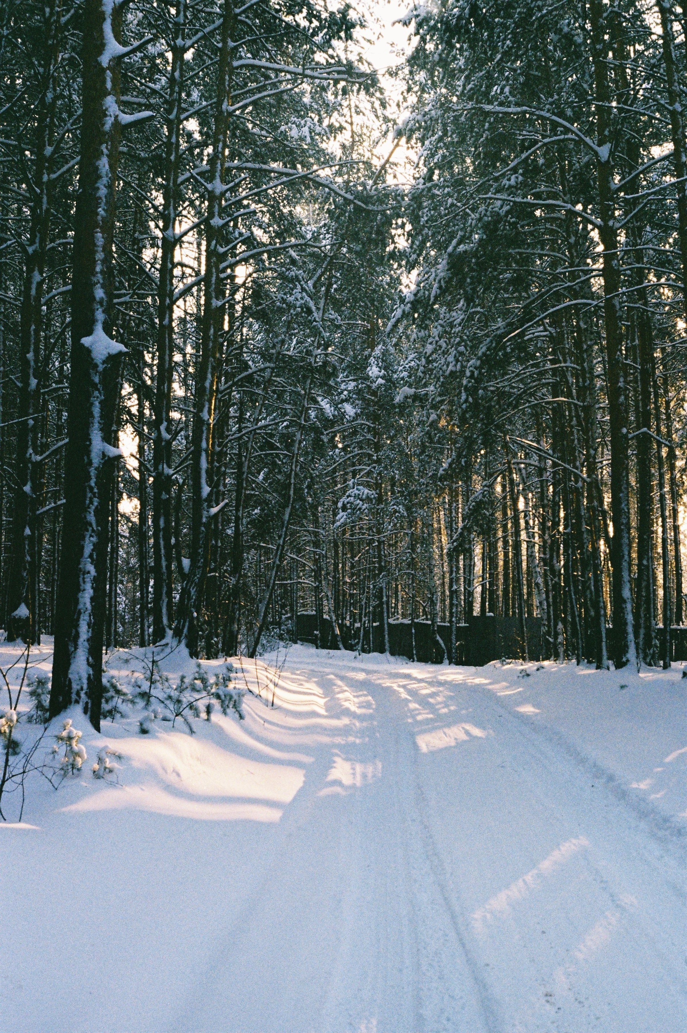 На пленку. Фотограф Настя | Экспедиции и лайфстайл