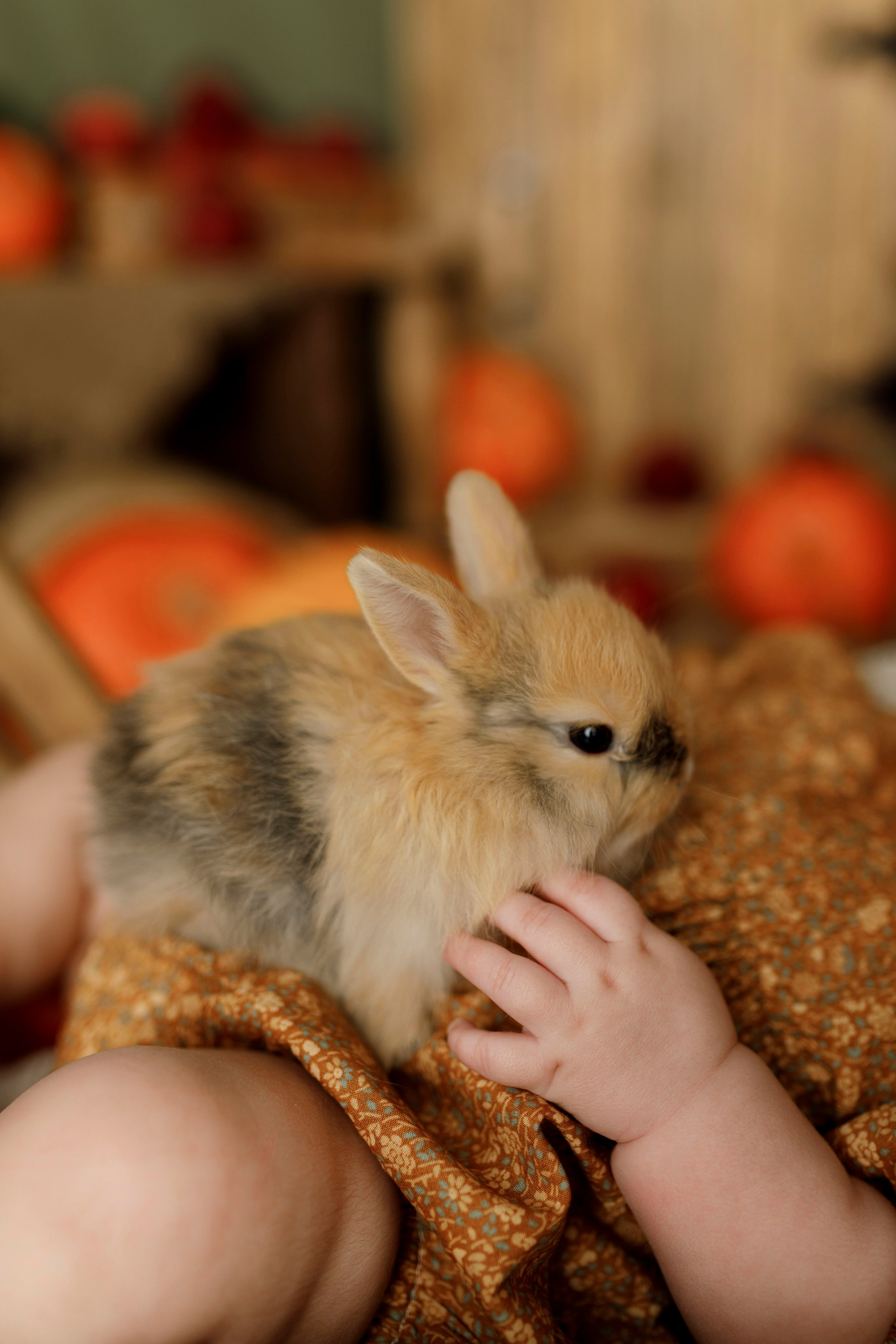 Фотопроекты. Фотограф новорождённых семейный фотограф Томск Елена Каплина