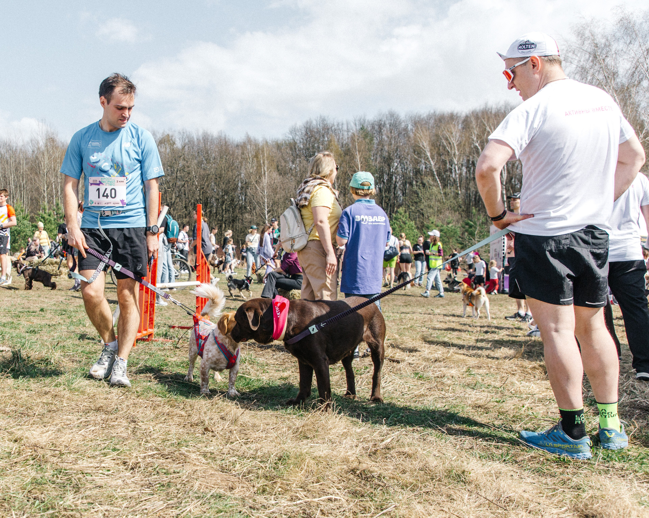 Кросс «Быстрый пёс» 2025. Репортажный фотограф в Москве