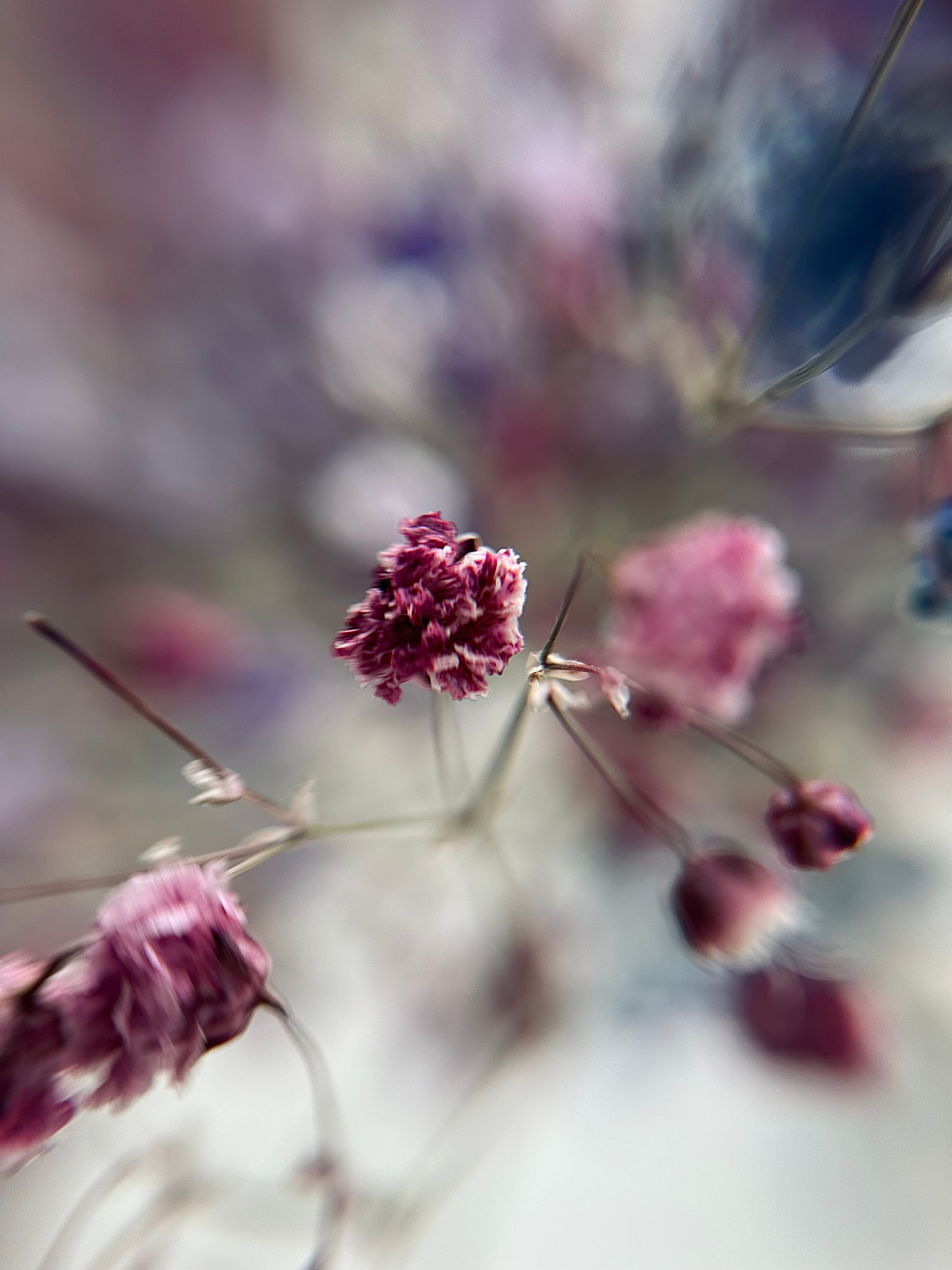 Мобильная фотография