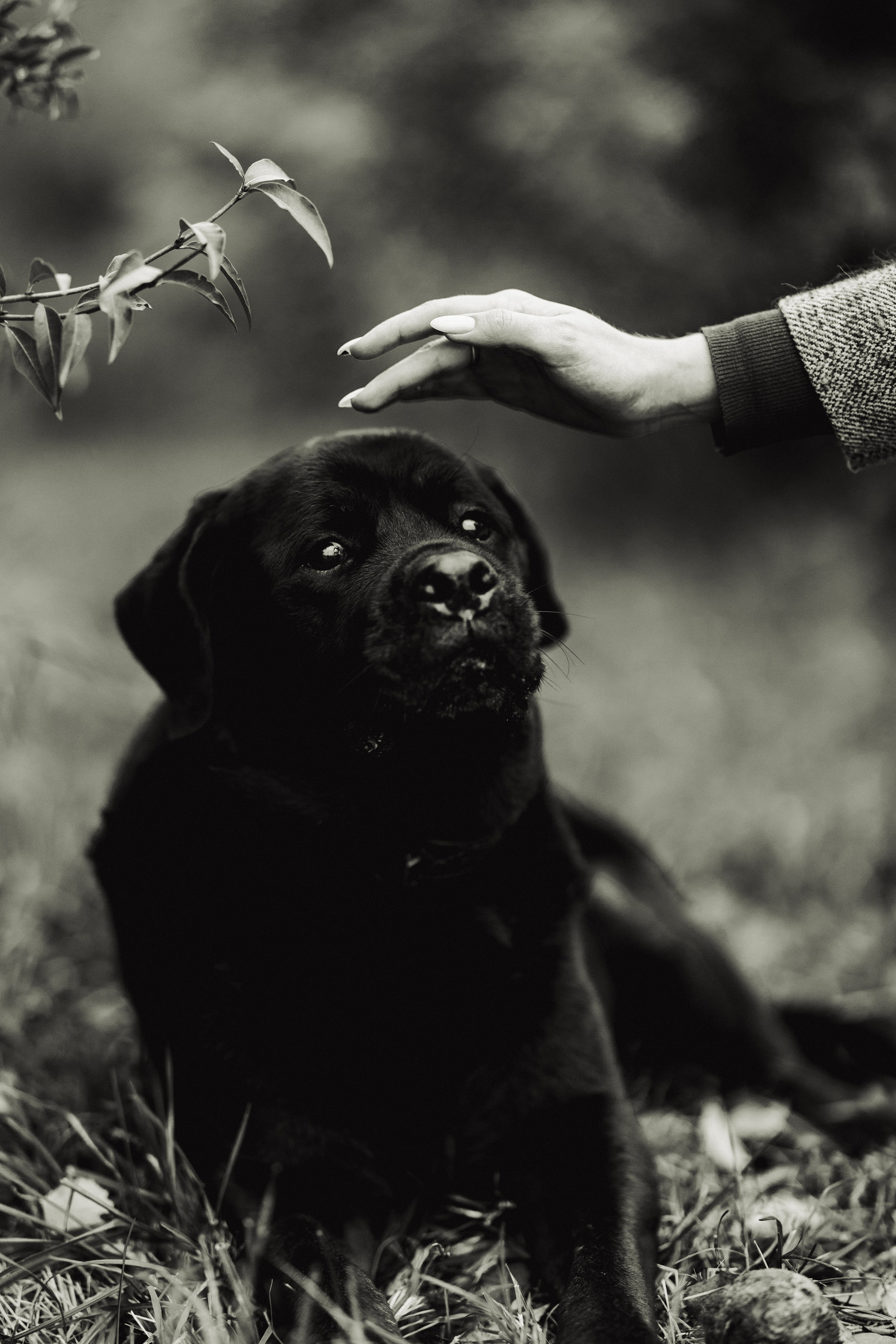 Маша и Лель. Татьяна Афонина | Фотограф