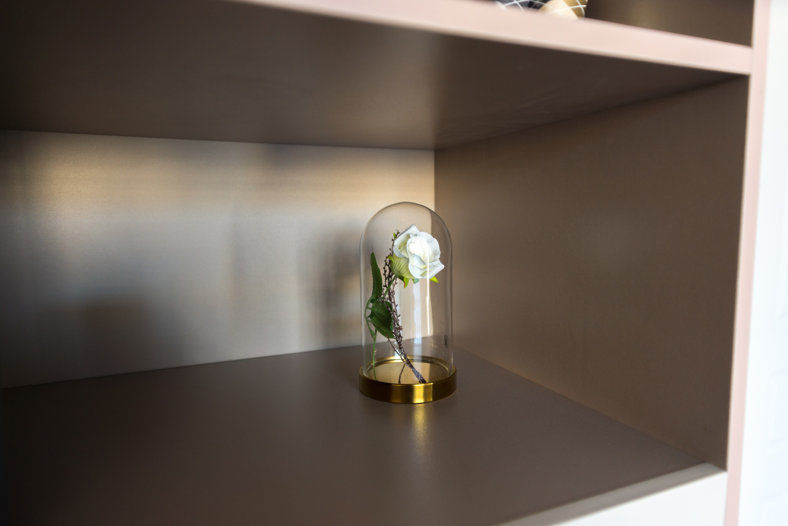 Контент. Фотограф в Санкт-Петербурге