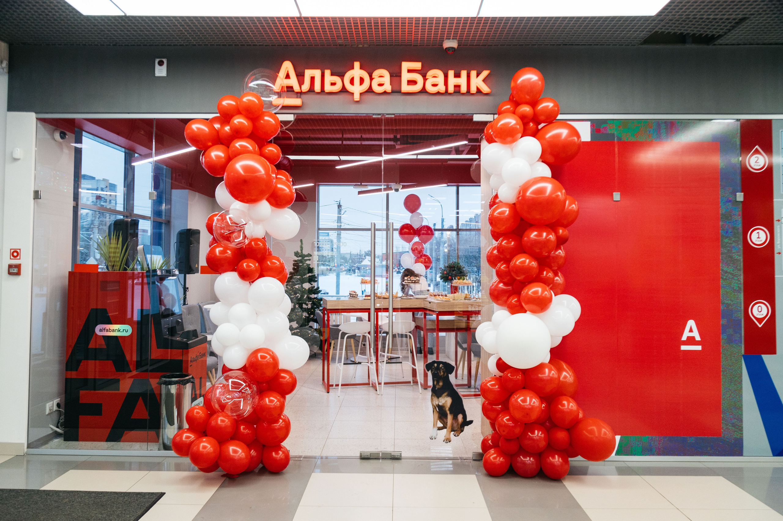 Фотоотчёт, репортаж с любого вашего мероприятия