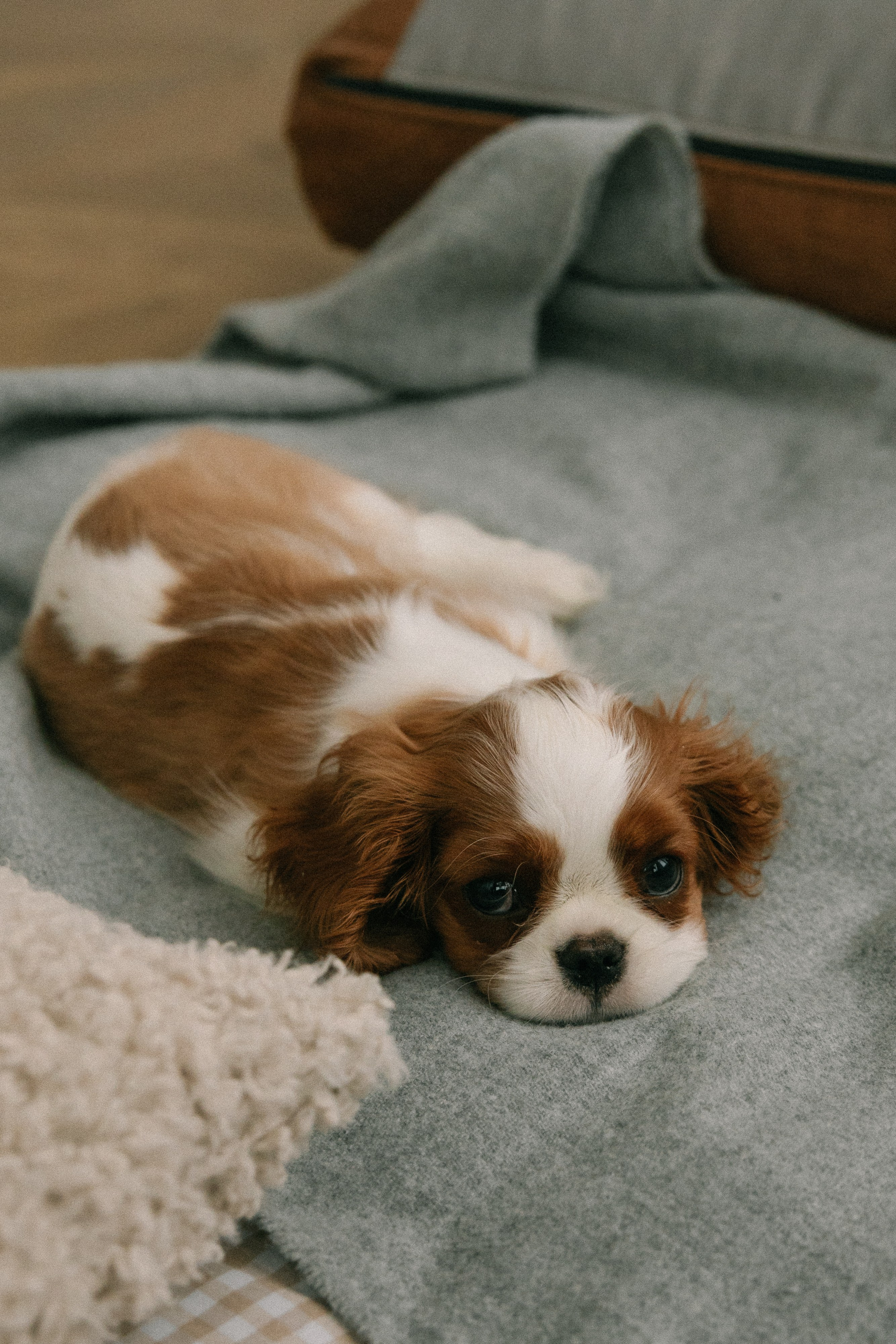 Артем, Катя и Егор. Свадебный фотограф Нижний Новгород