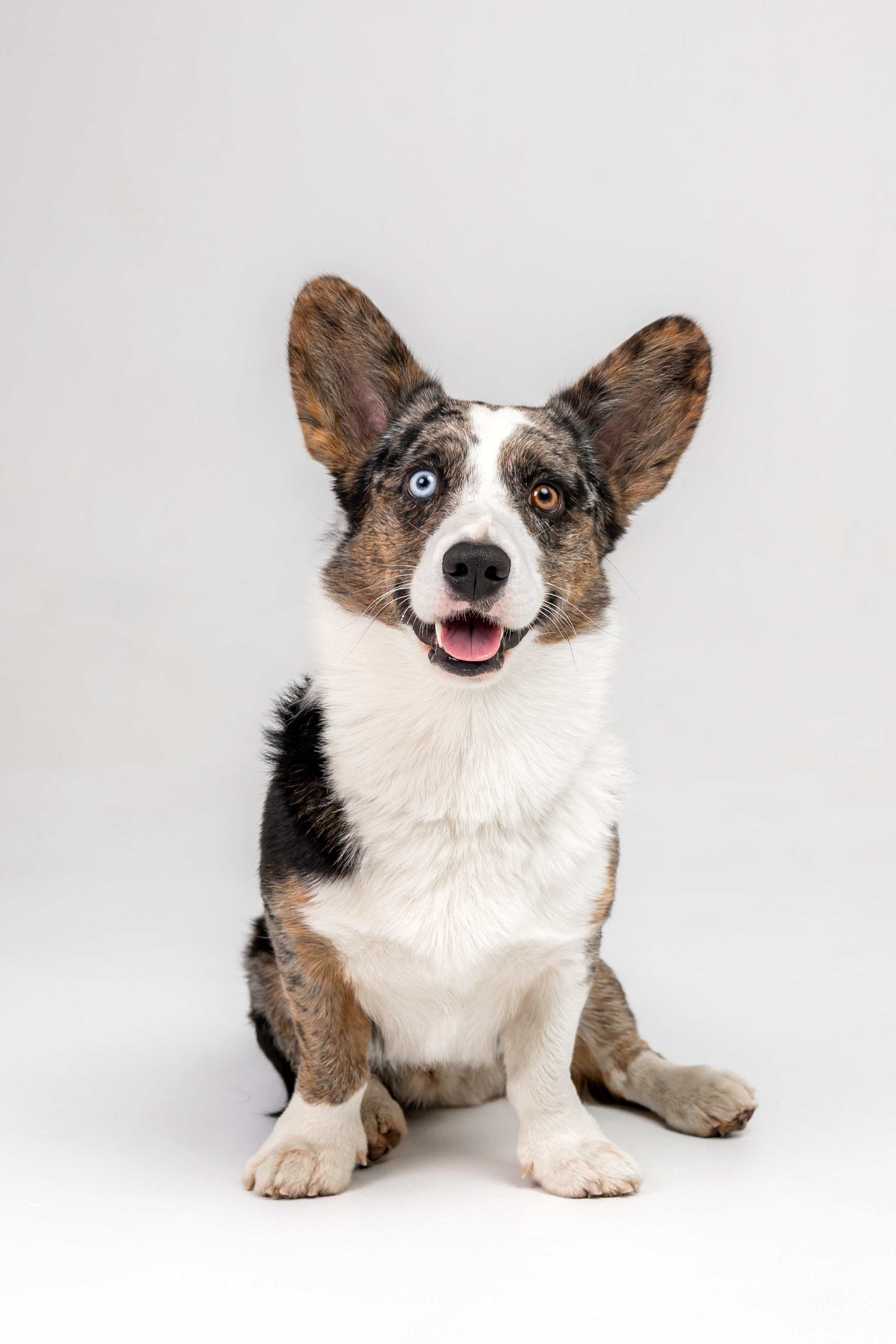 Анатолий и Рагнар