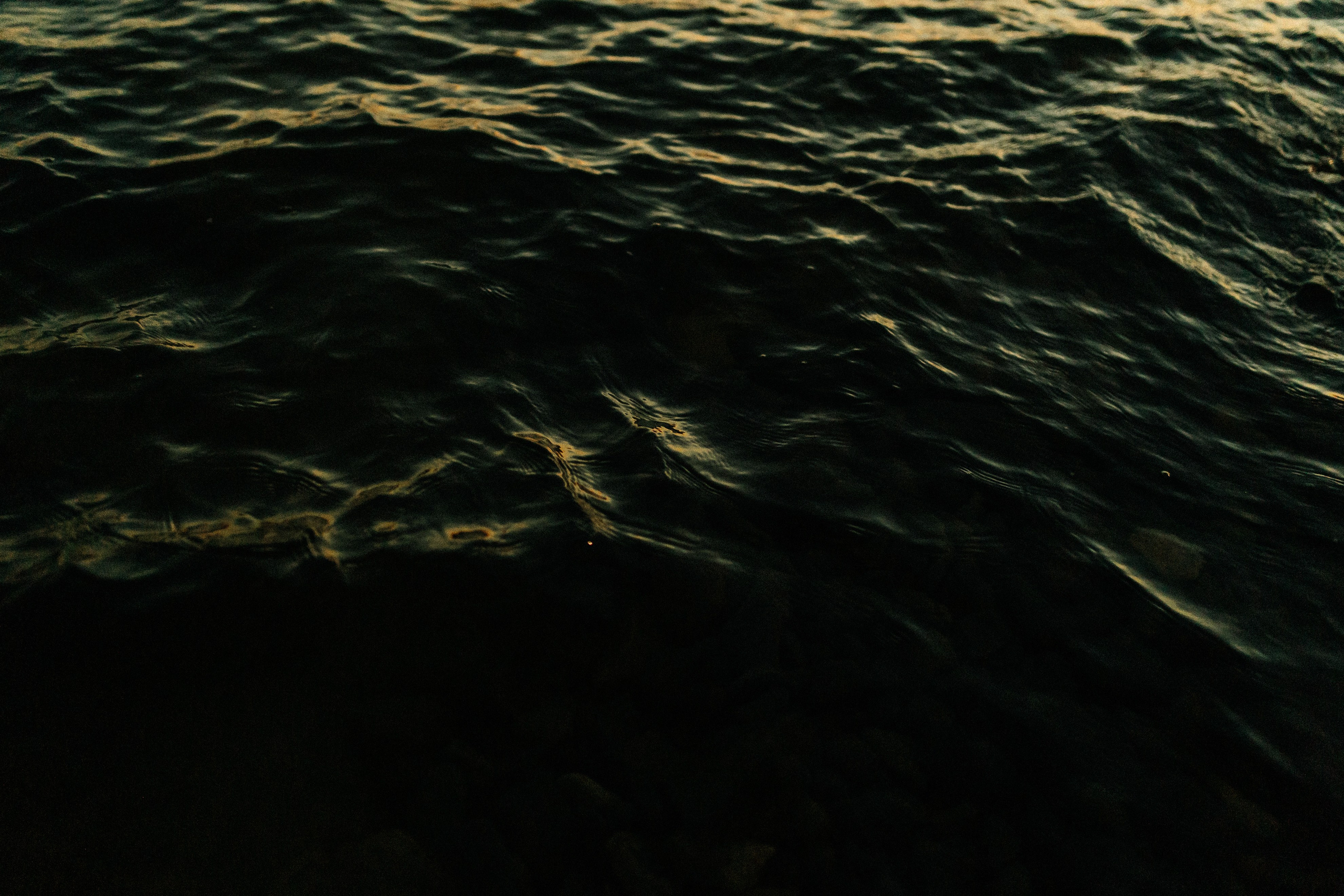 Соленое вино. Свадебный фотограф в Москве Николай Болт