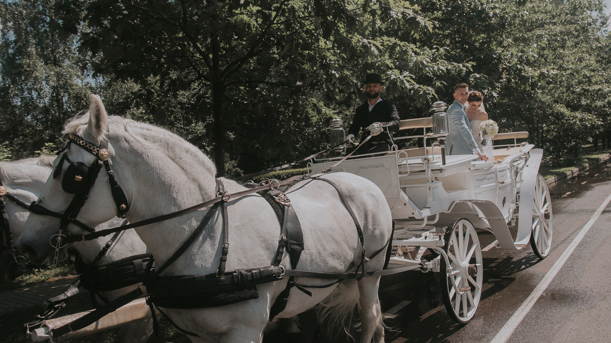 MF PROD. — SOFIA & NIKOLAY. MOVIE FAMILY PRODUCTION