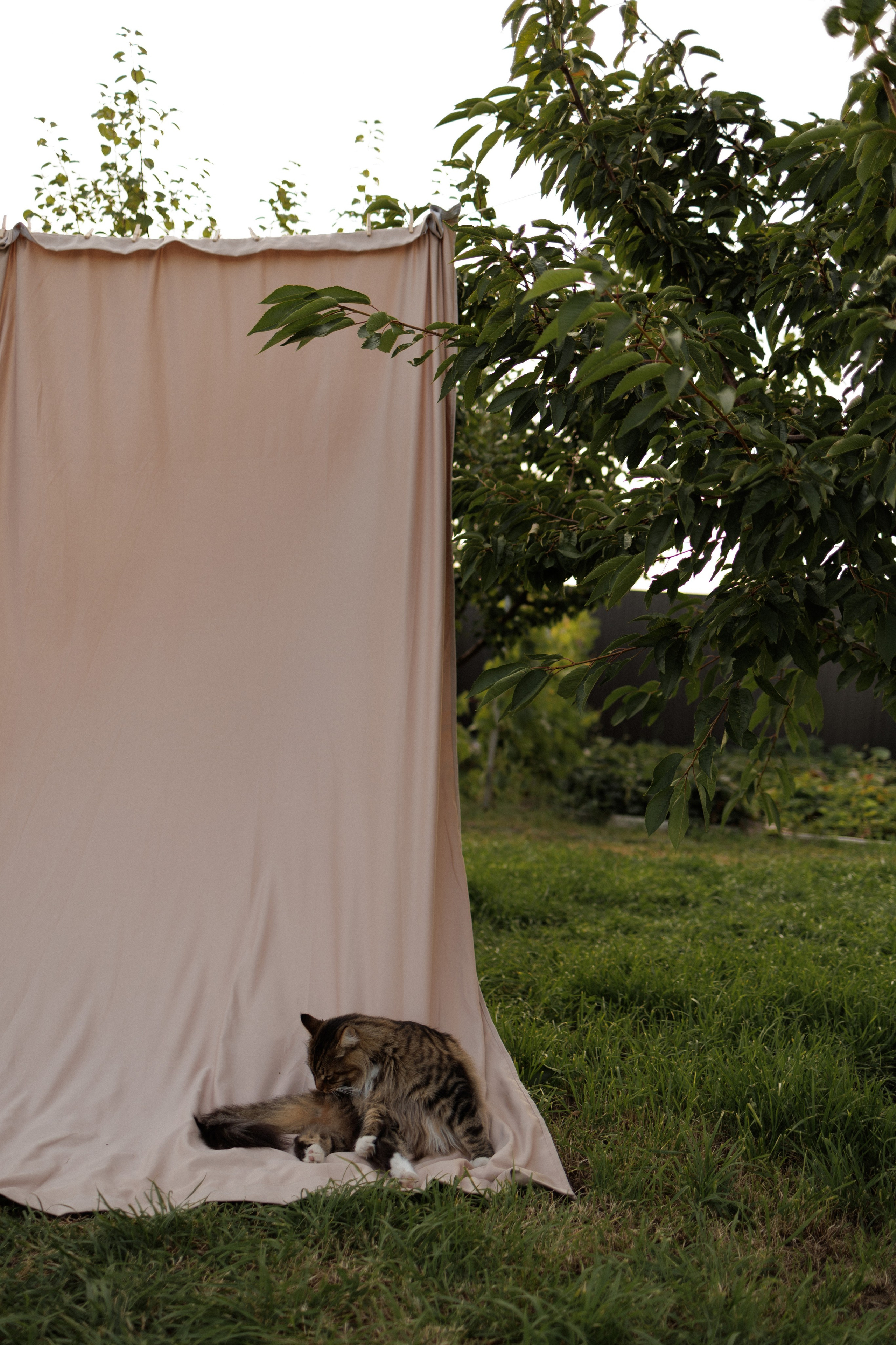 На закате одного прекрасного вечера. Фотограф Софья Гречка