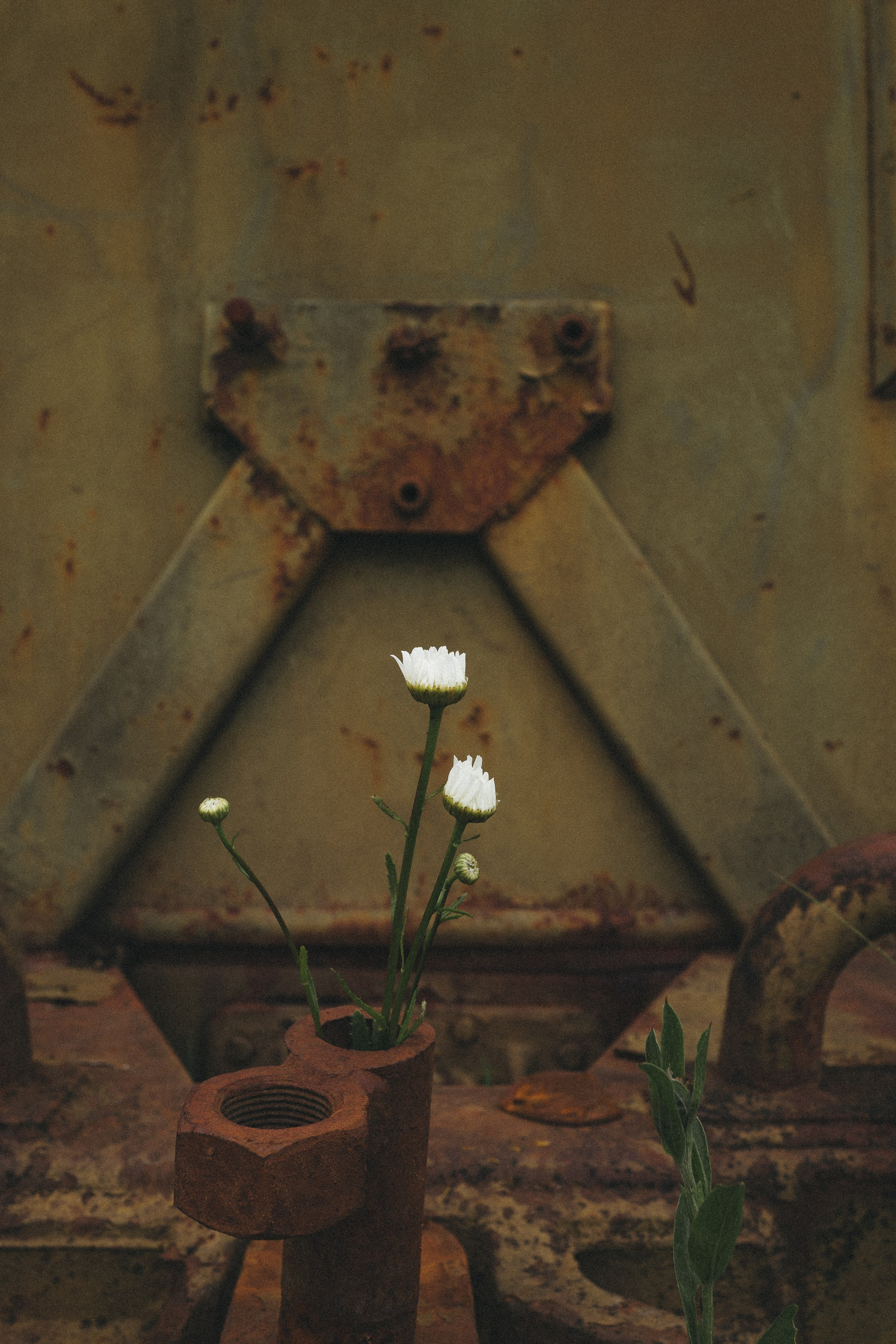 Happy Birthday, Alina ♥️. <3