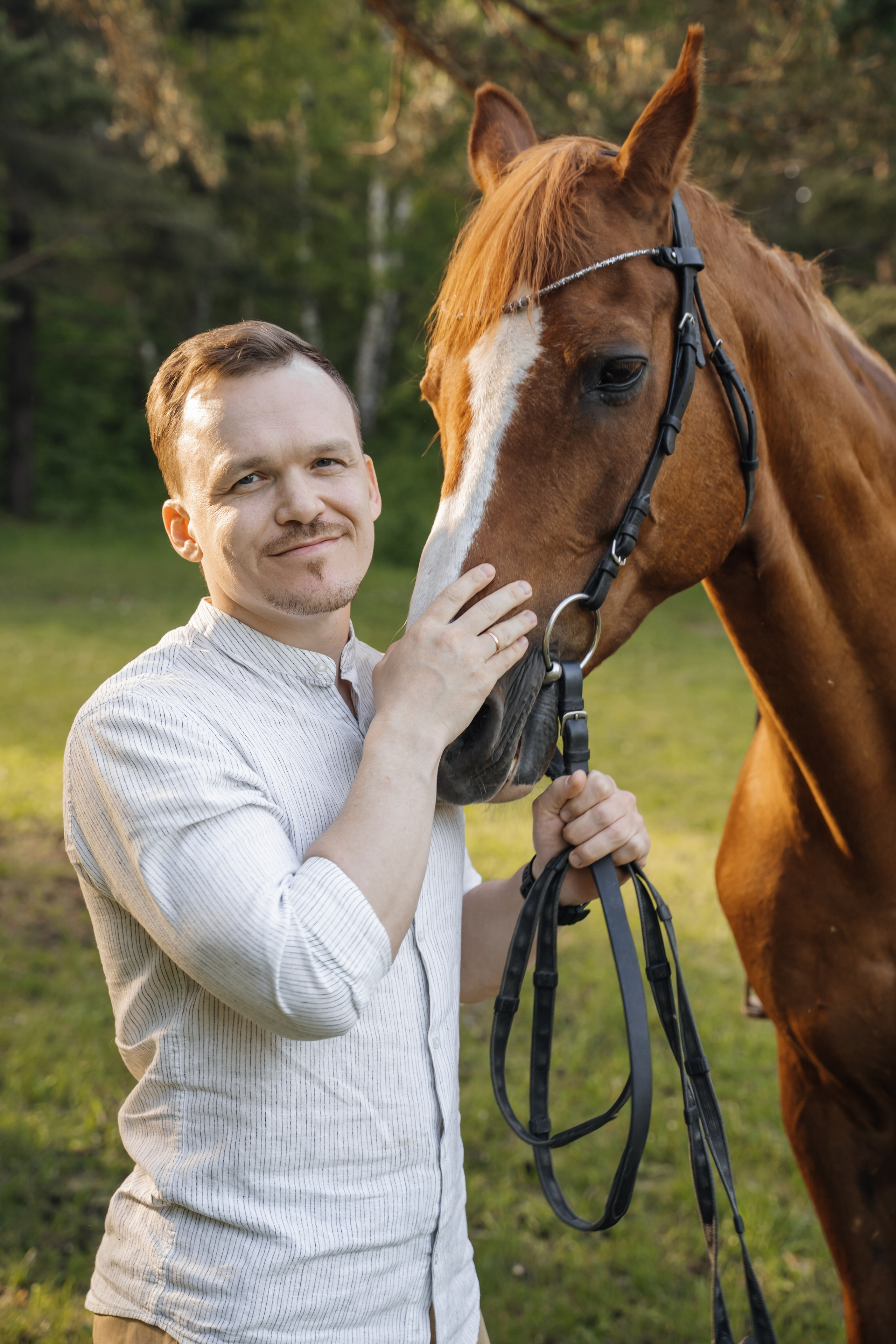 Семейная история с лошадьми. Главная