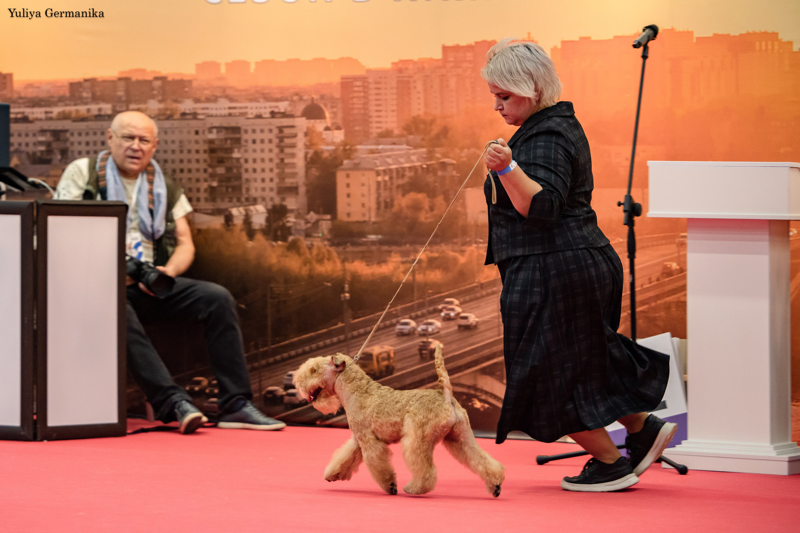 Нижний Новгород 21-22.10.2023. Фотограф-анималист Юлия Германика