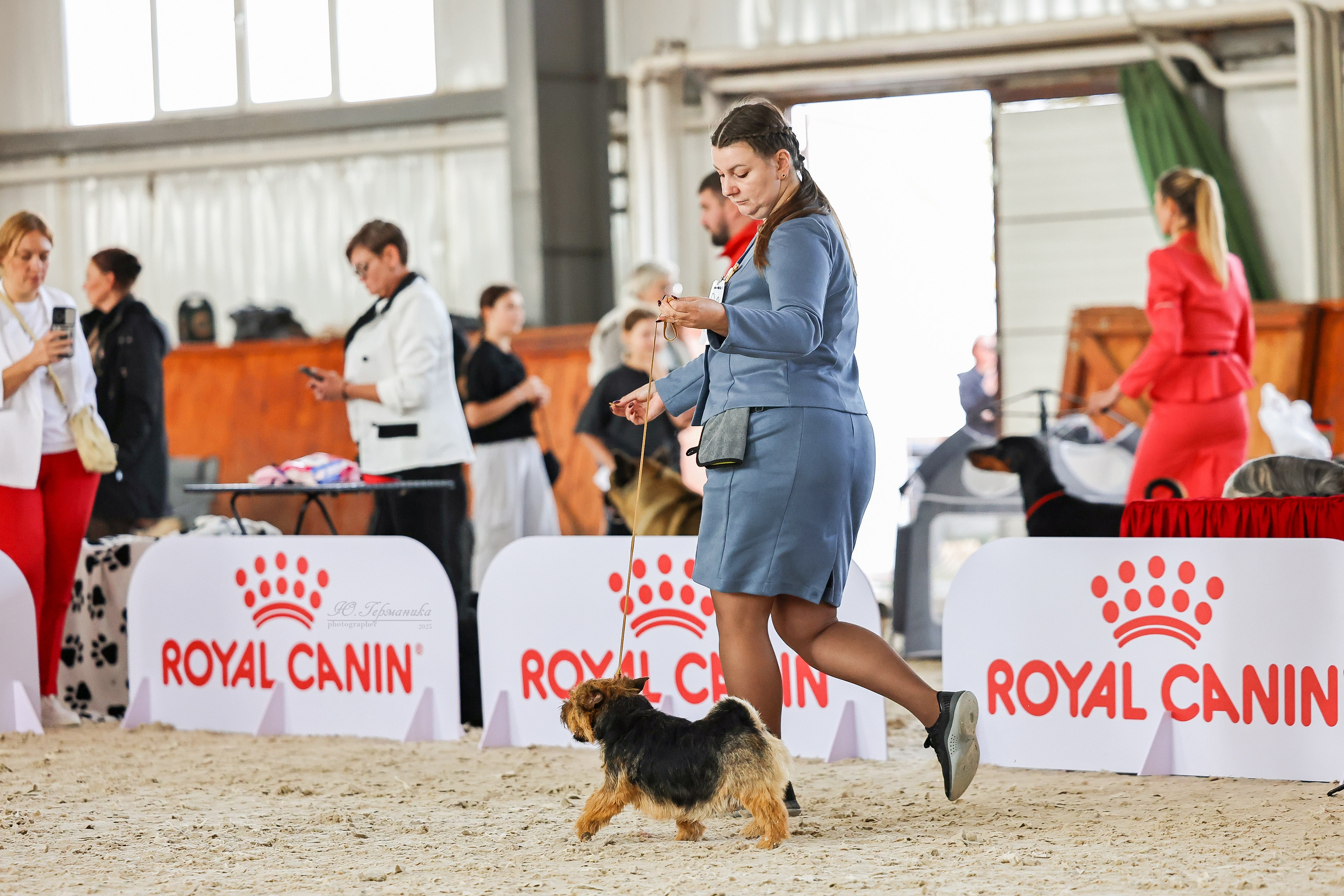 Астана 2хCACIB 26-28.09.2025. Фотограф-анималист Юлия Германика