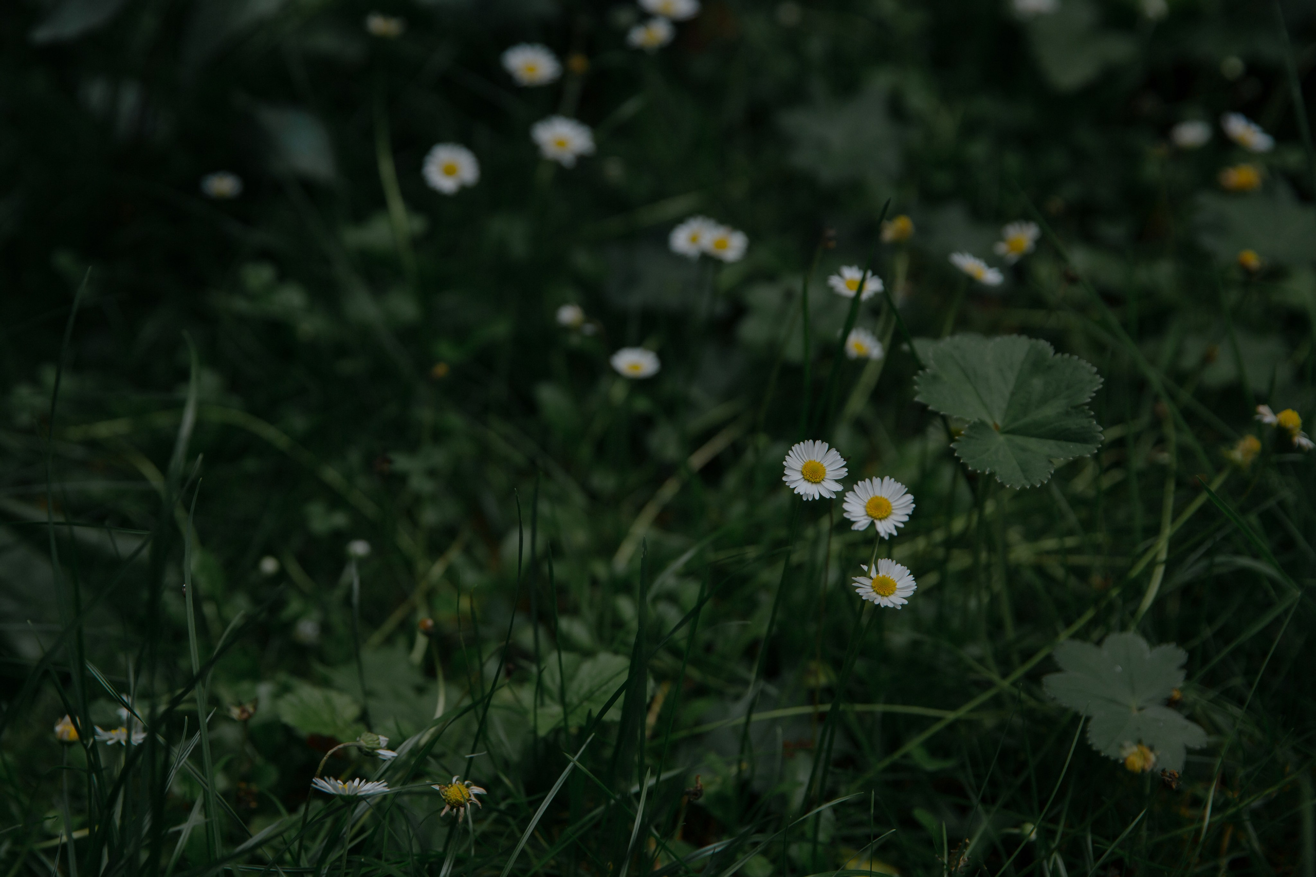 16.06.2024. RETOUCH-HOUSE