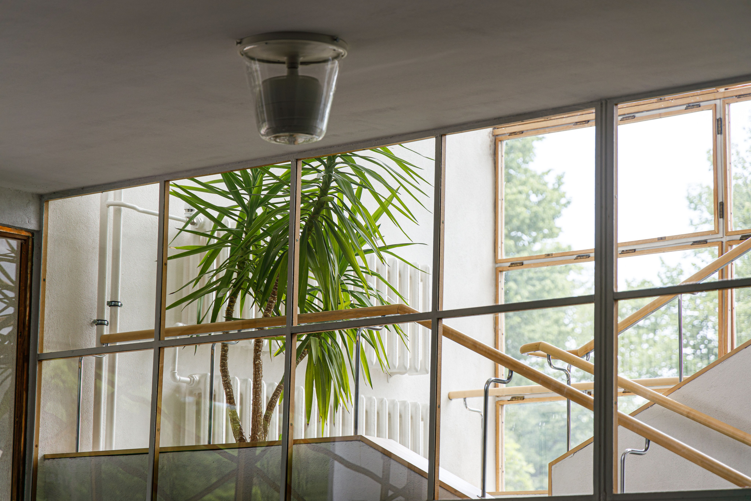 Центральная городская библиотека Алвара Аалто в Выборге. Фотограф Балаев Михаил