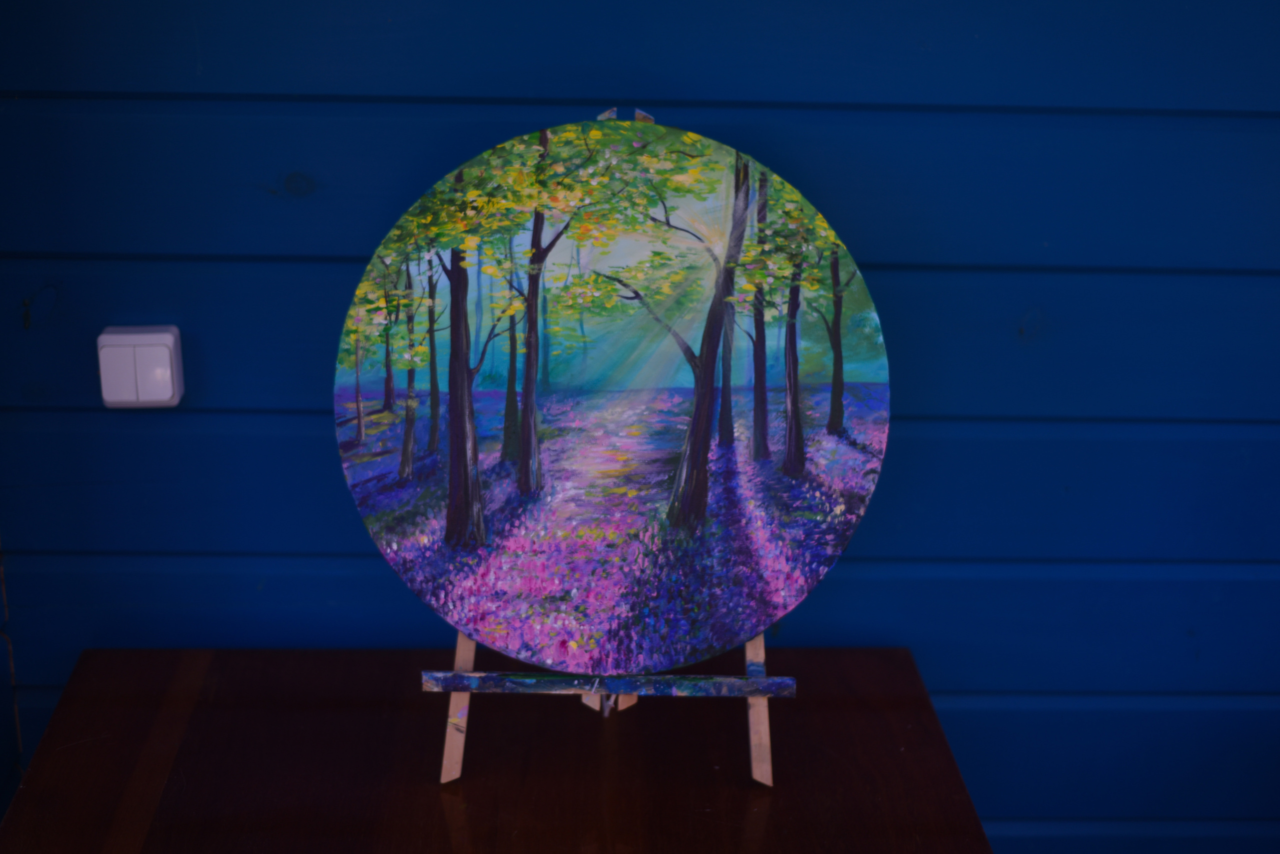 Живопись. Фотограф в Санкт-Петербурге