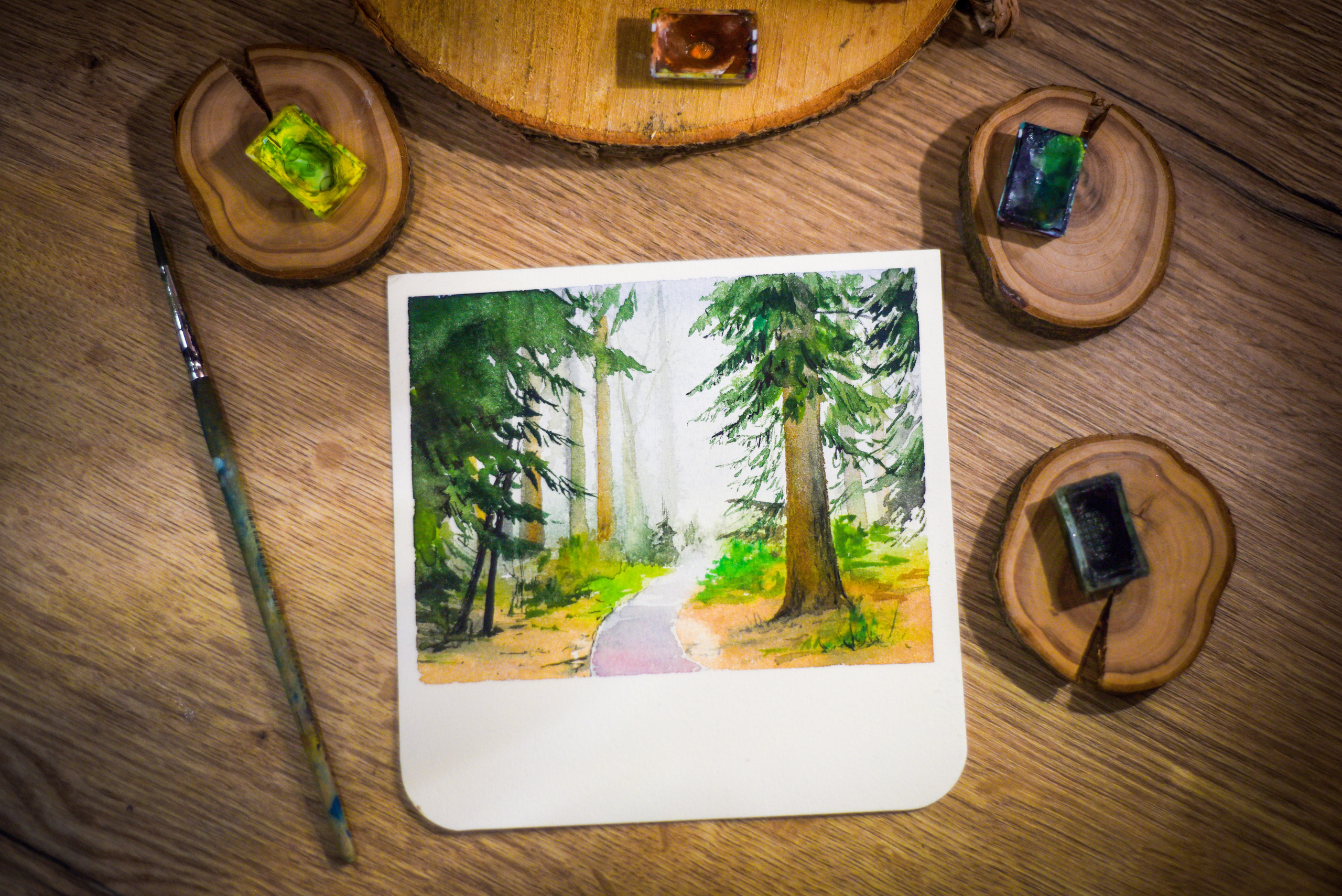 Живопись. Фотограф в Санкт-Петербурге