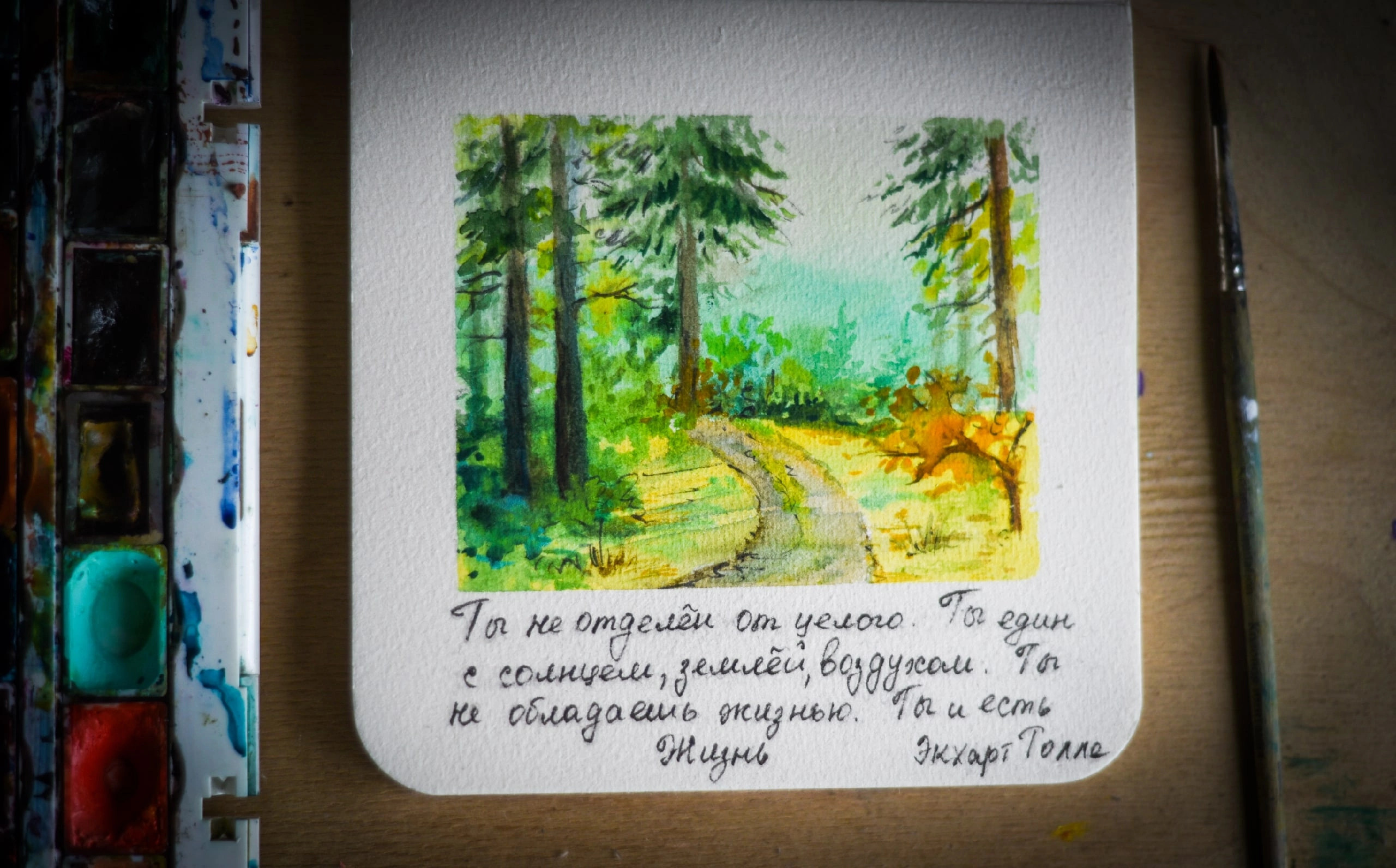 Живопись. Фотограф в Санкт-Петербурге