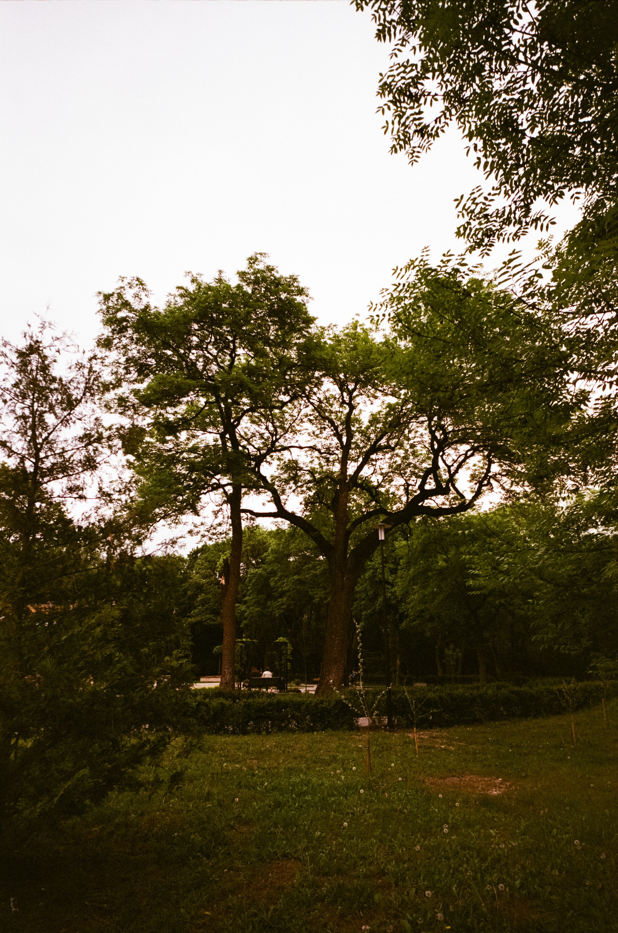 Ессентуки / Voigtlander BESSA-T / Fujifilm X-tra 400 (просрочка)