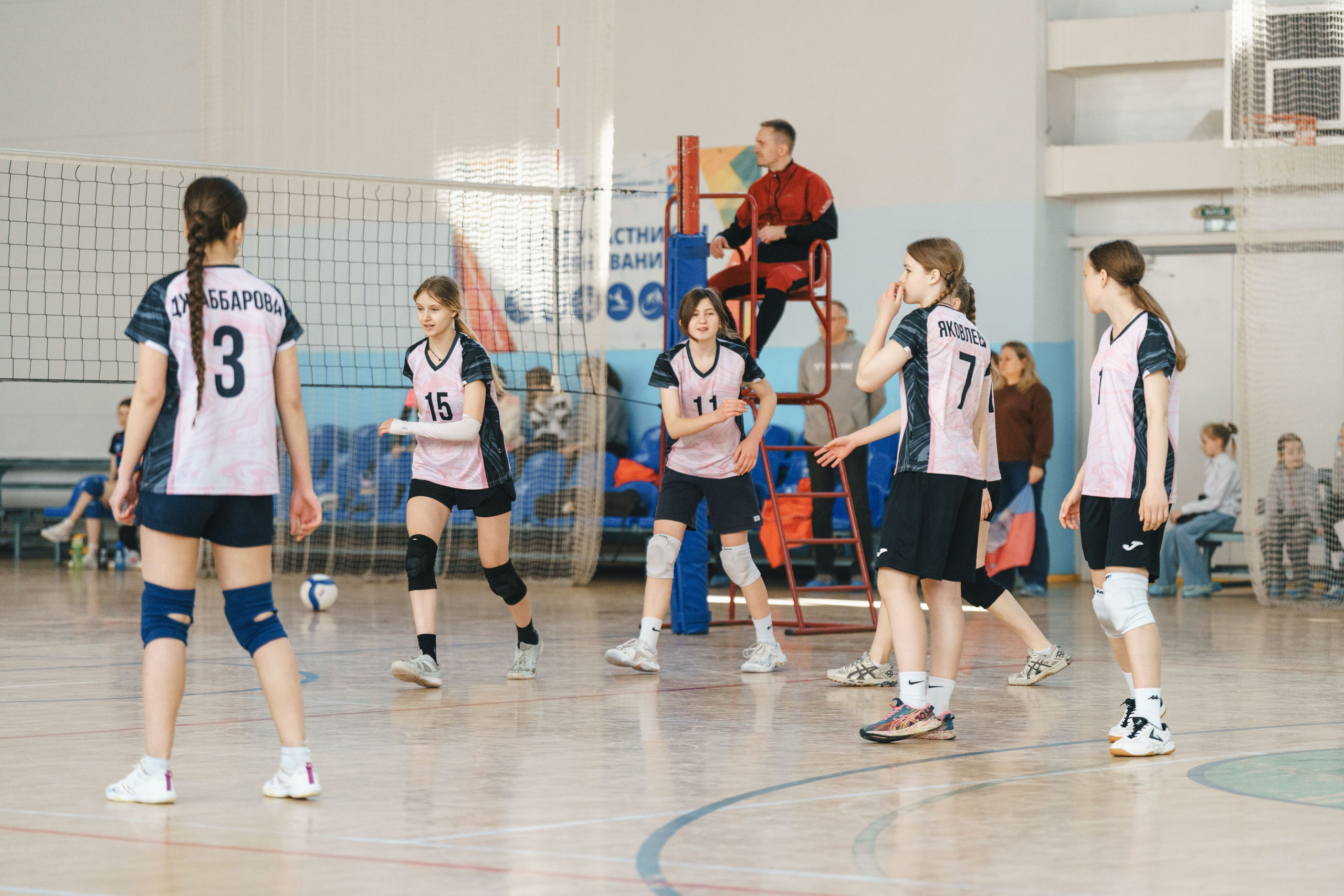 Волейбол торус. Фотограф-анималист в Санкт-Петербурге