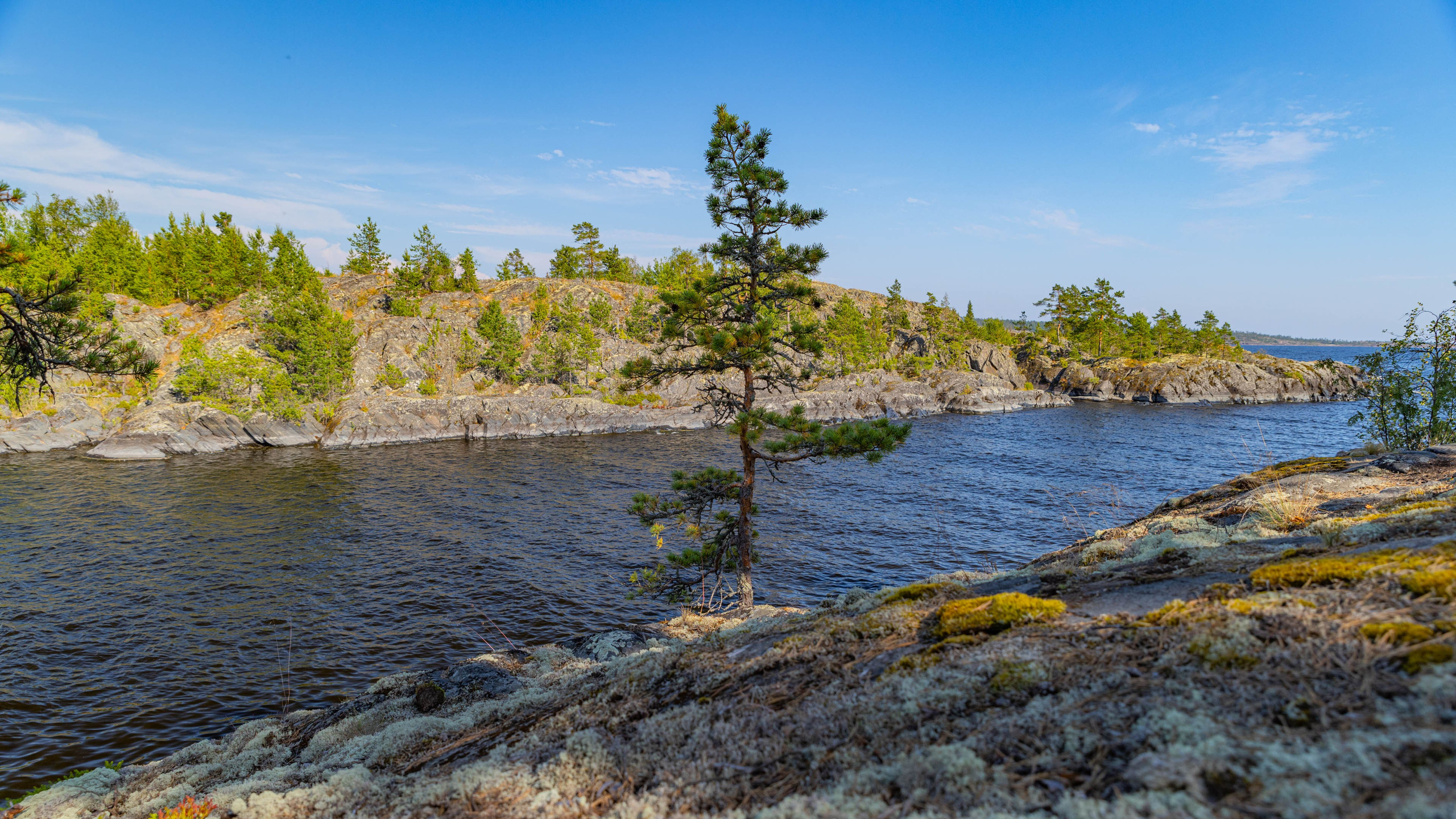 2025 07 Выборг — Сортавала — Великий Новгород — Псков. Фотографии