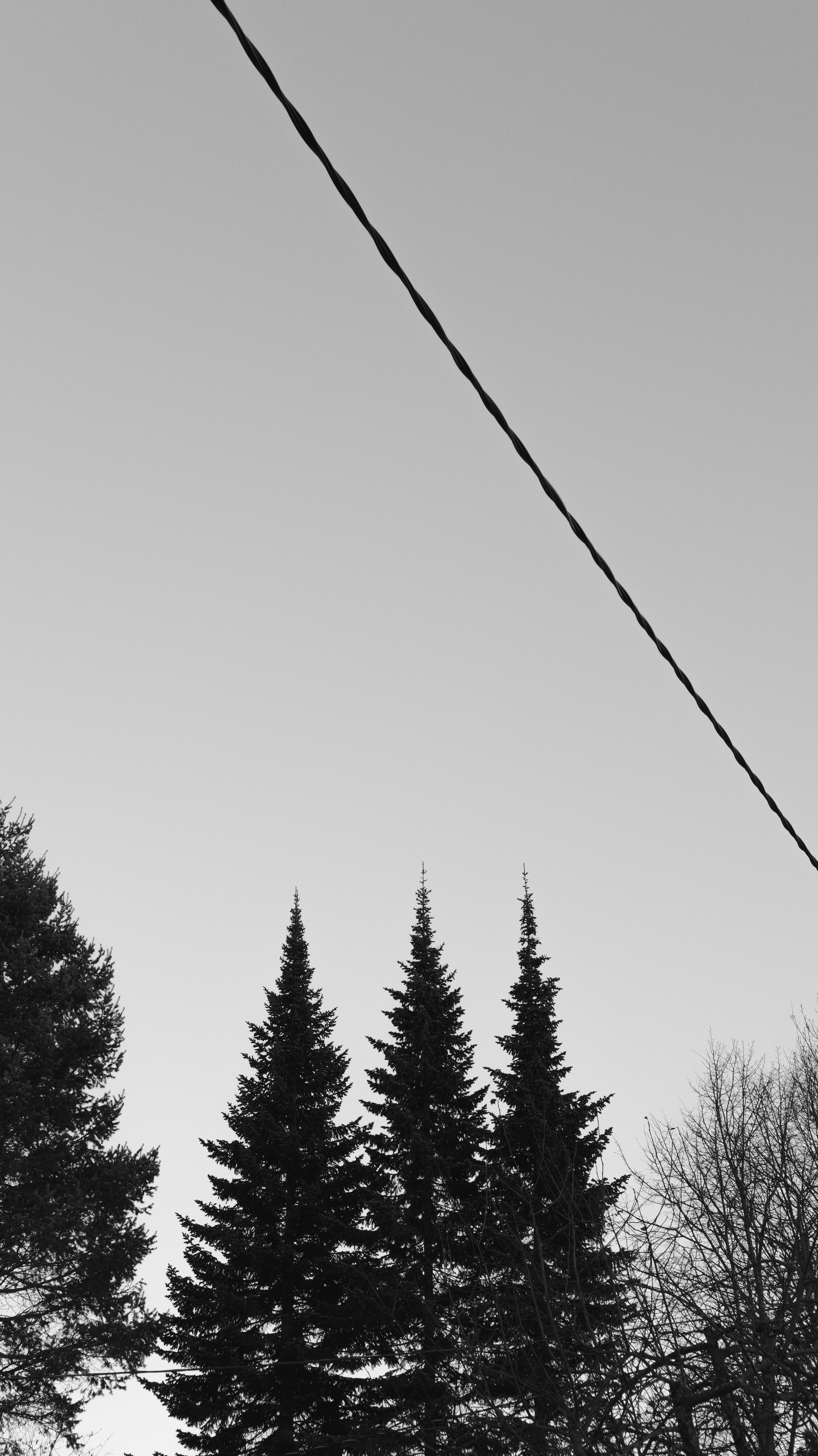 Природа. Фотограф Маргана Лоция