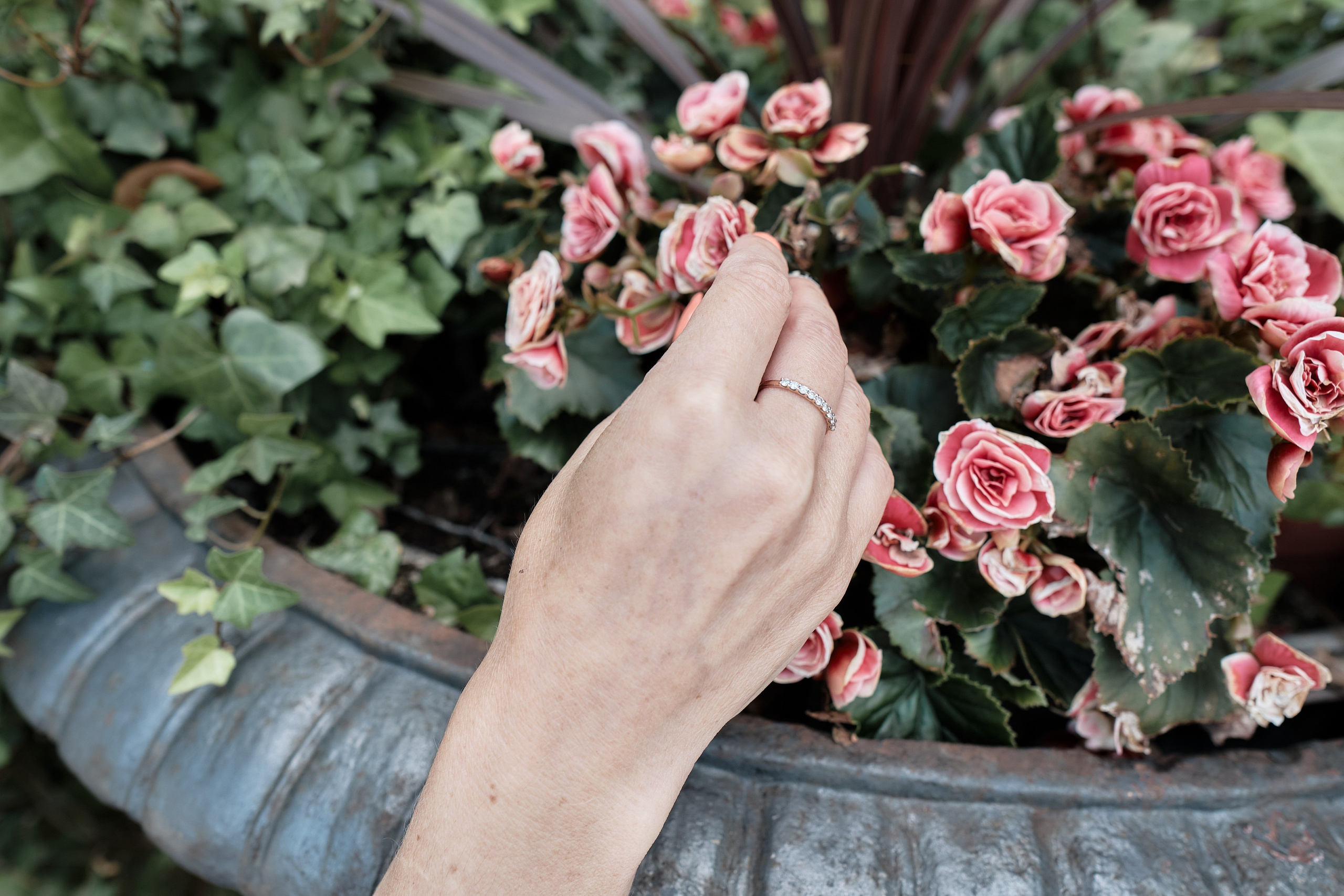 Ксения и Анастасия. Фотограф Санкт-Петербург