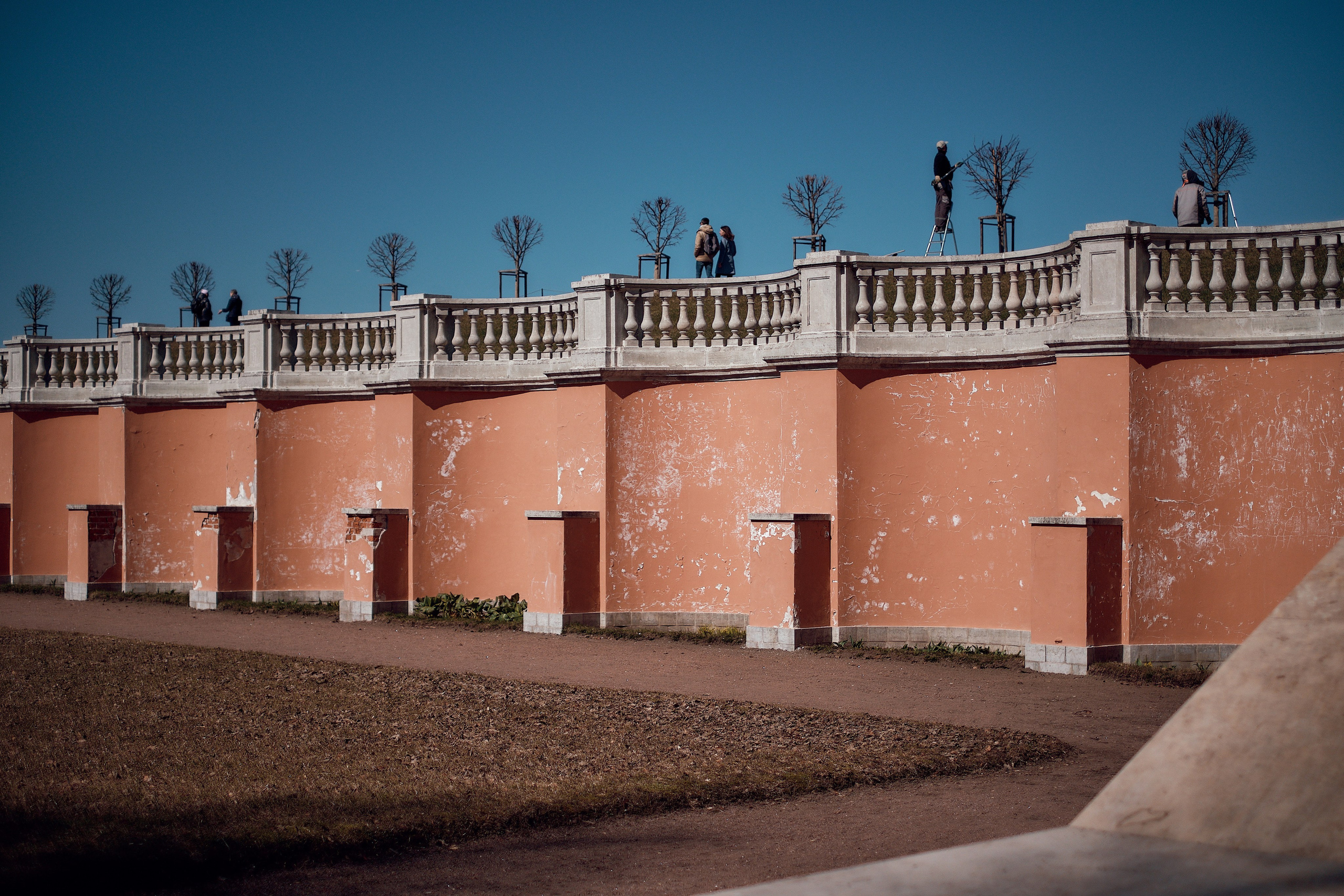 Алина. Фотограф Санкт-Петербург
