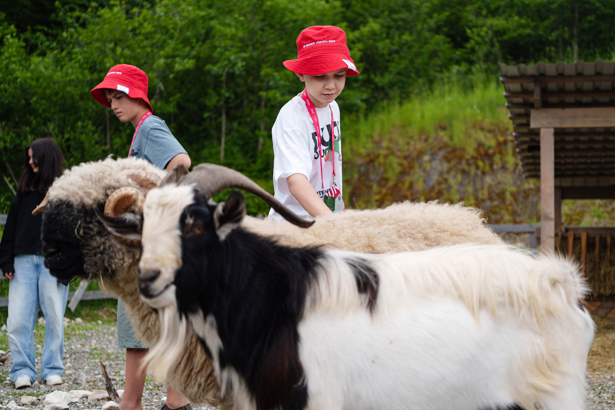 South HUB Family. South HUB