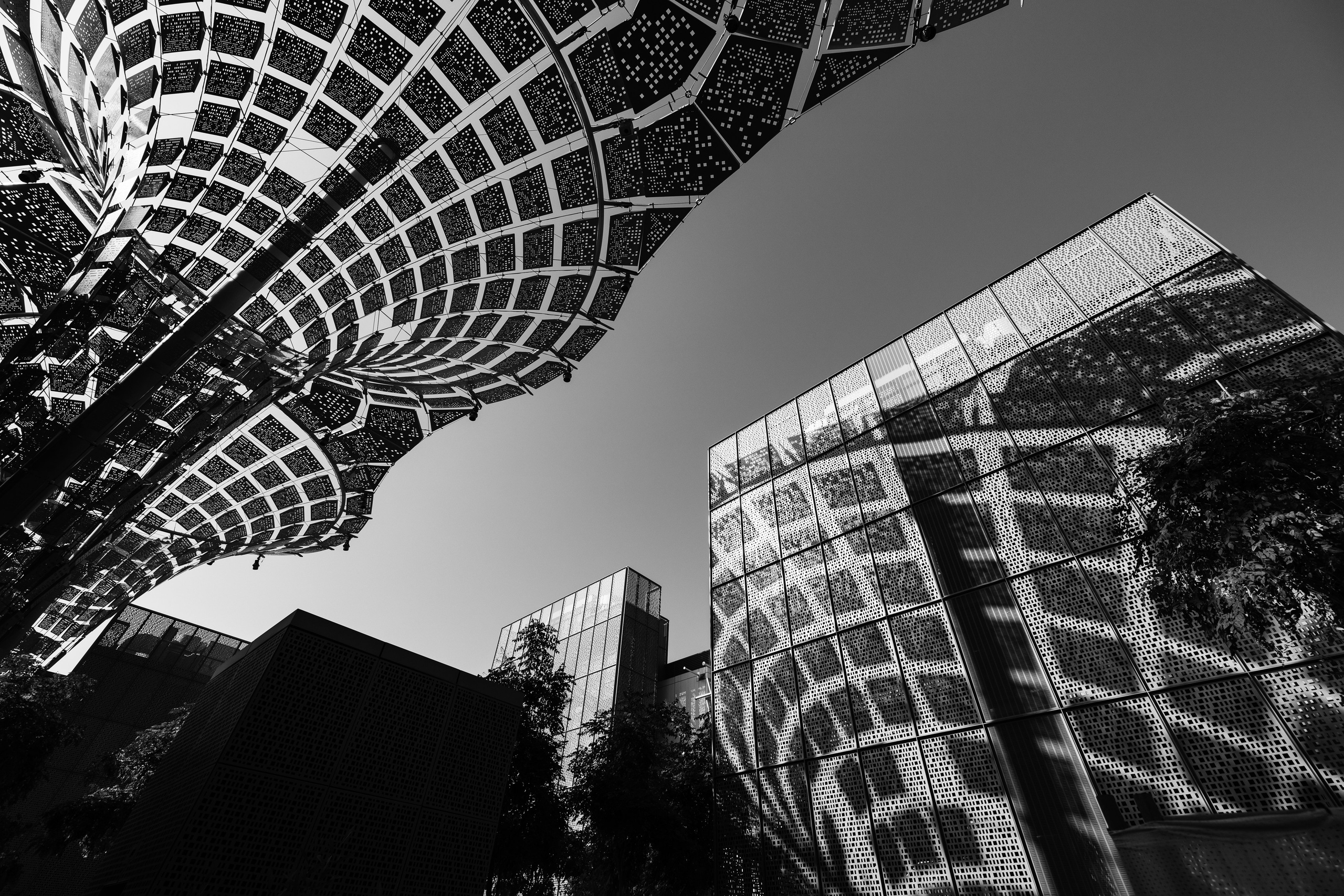 Дубай 2023. Руслан Плахтеев