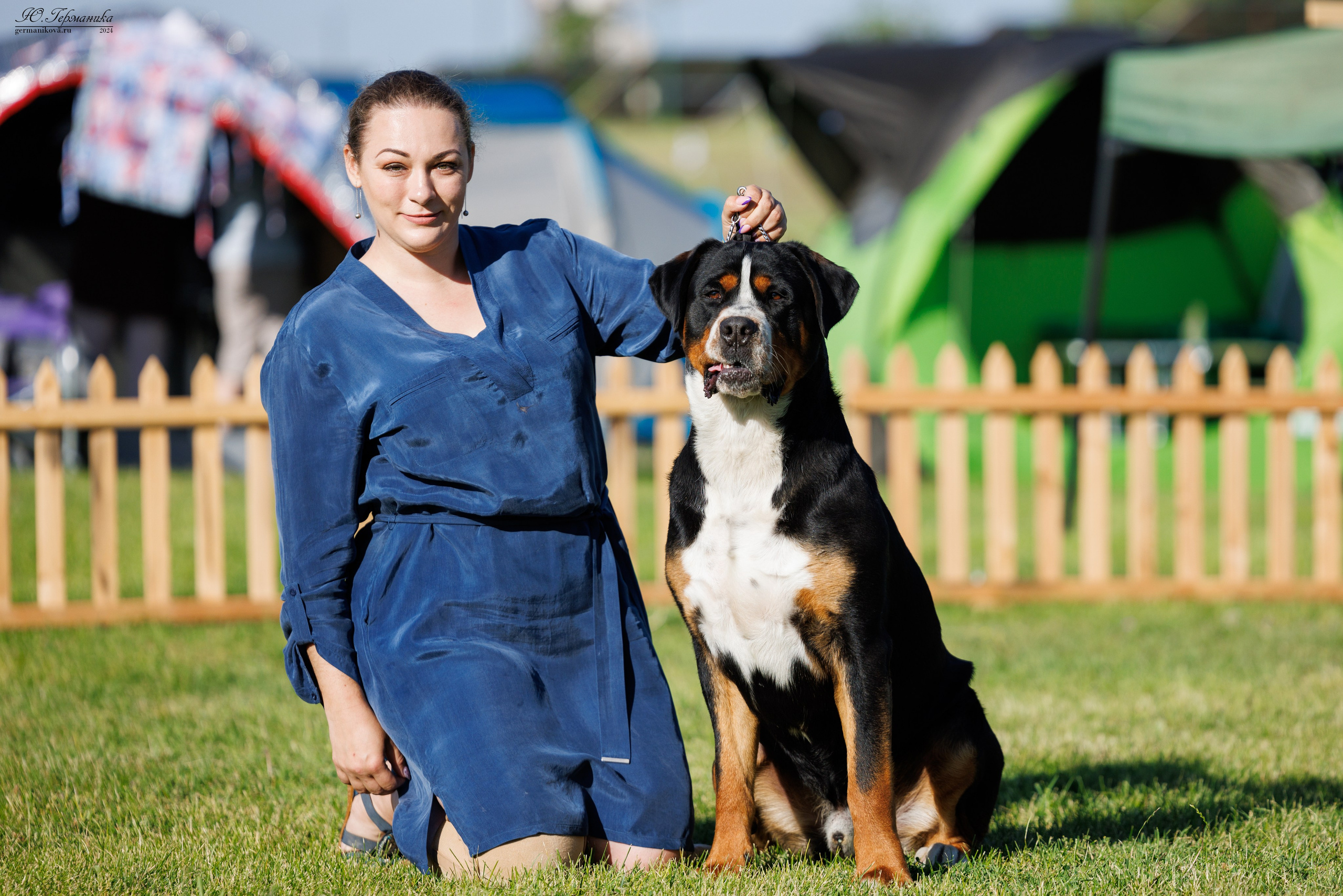 Ереван 3-5.06.2024. Фотограф-анималист Юлия Германика