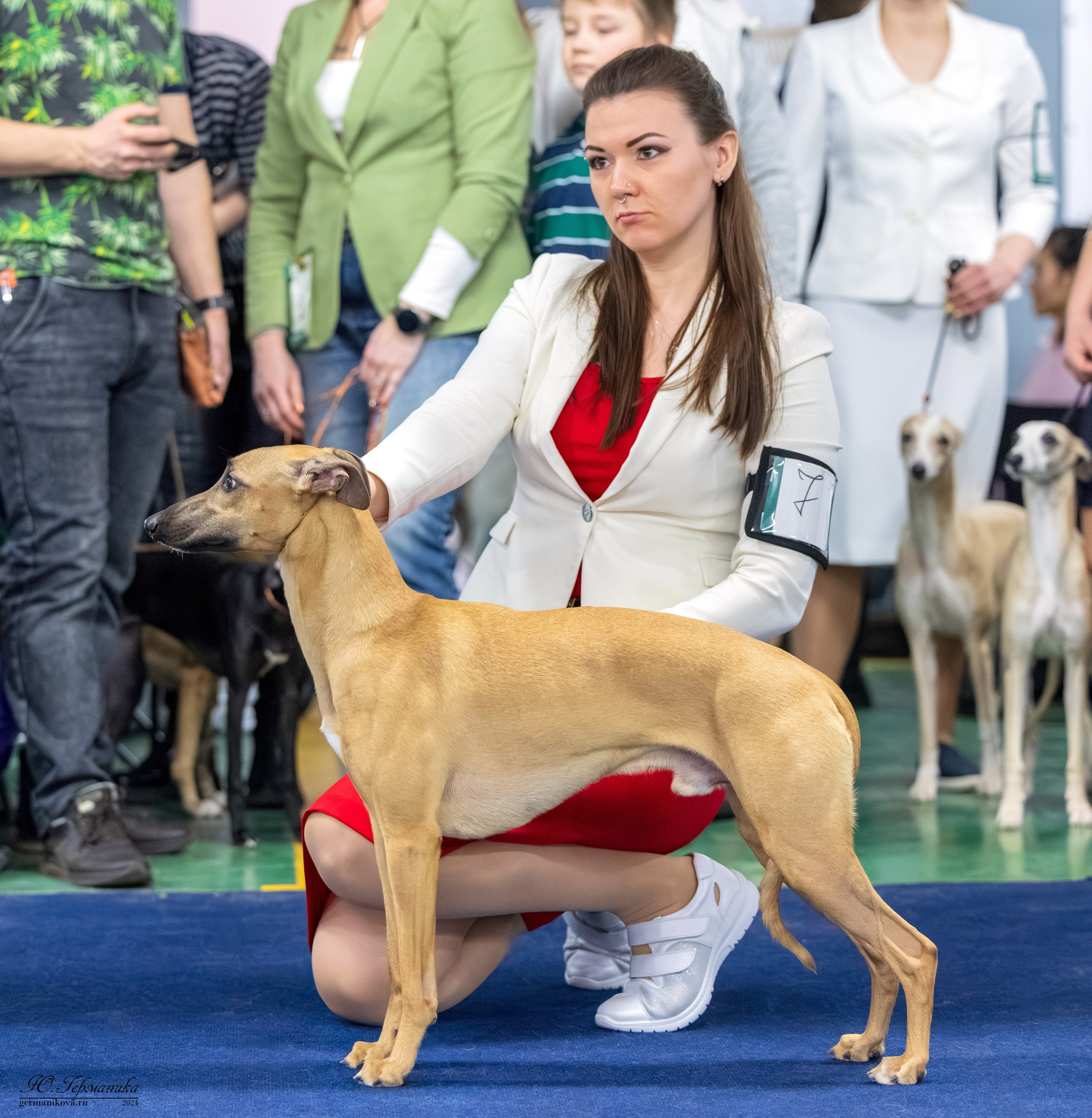 Сфера 17.03.2024. Фотограф-анималист Юлия Германика