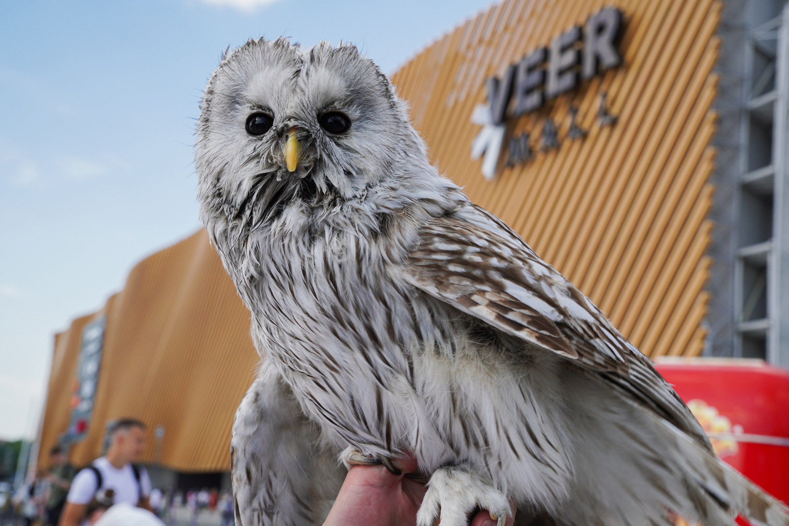 Корпоративы и праздники. Портретный, репортажный и свадебный фотограф в Екатеринбурге Денис Южаков