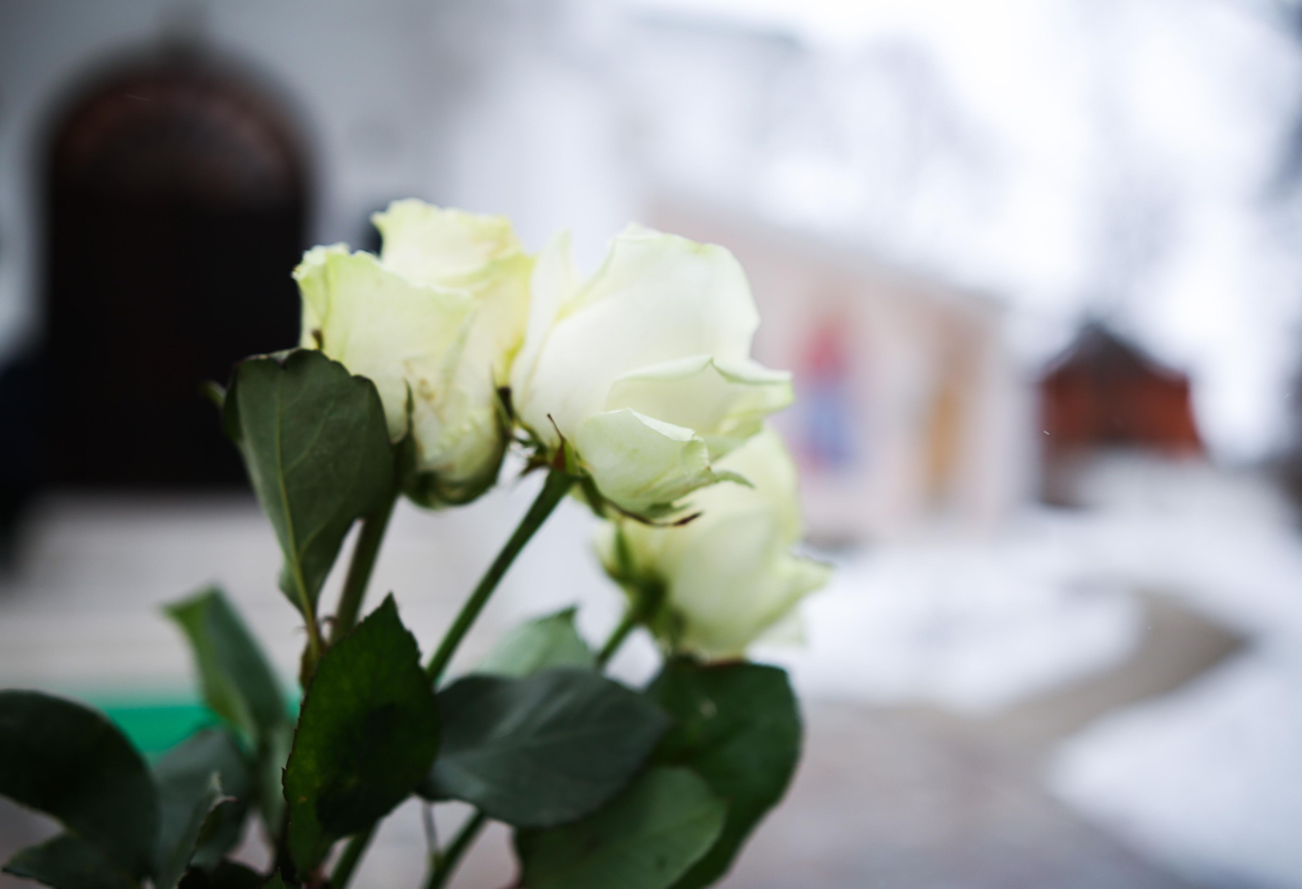 Божественная литургия в Христорождественском храме с. Михалёво. Семейный и детский фотограф Анна Петракова