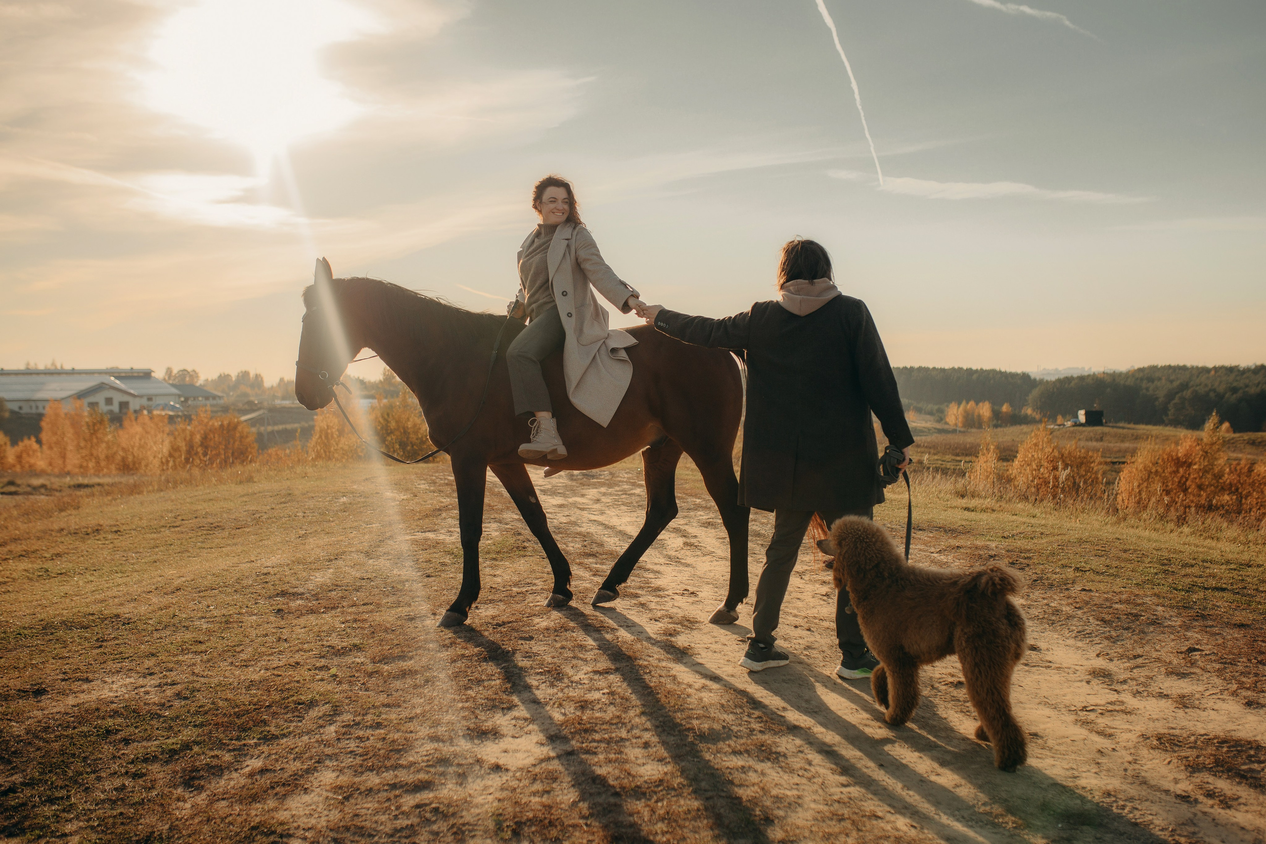 Наши пушистые дети. Главная