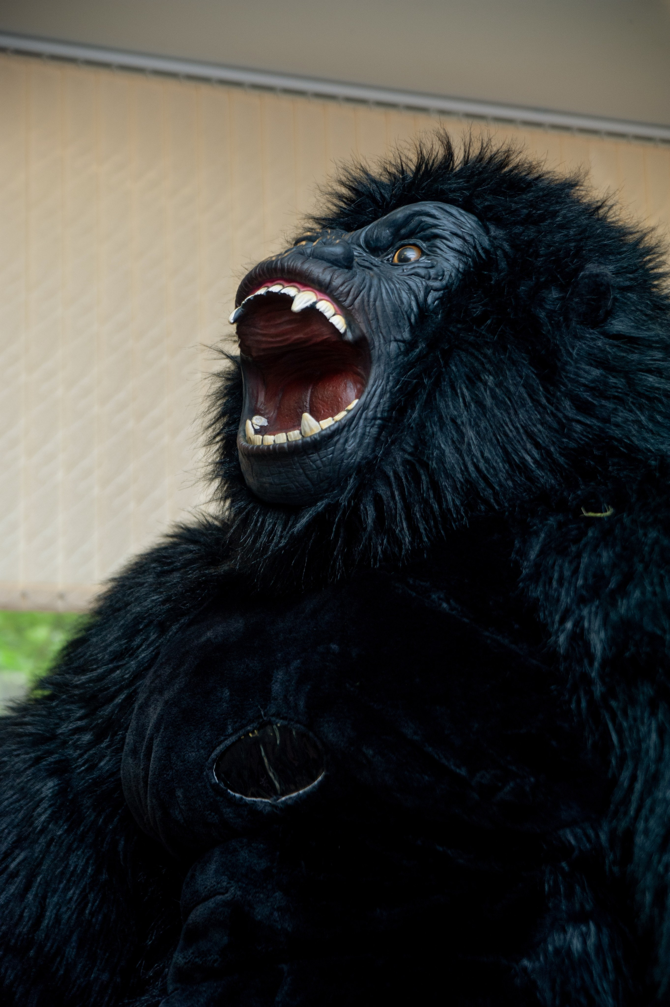 День рождения Ани на Южном берегу. Фотограф в Красноярске