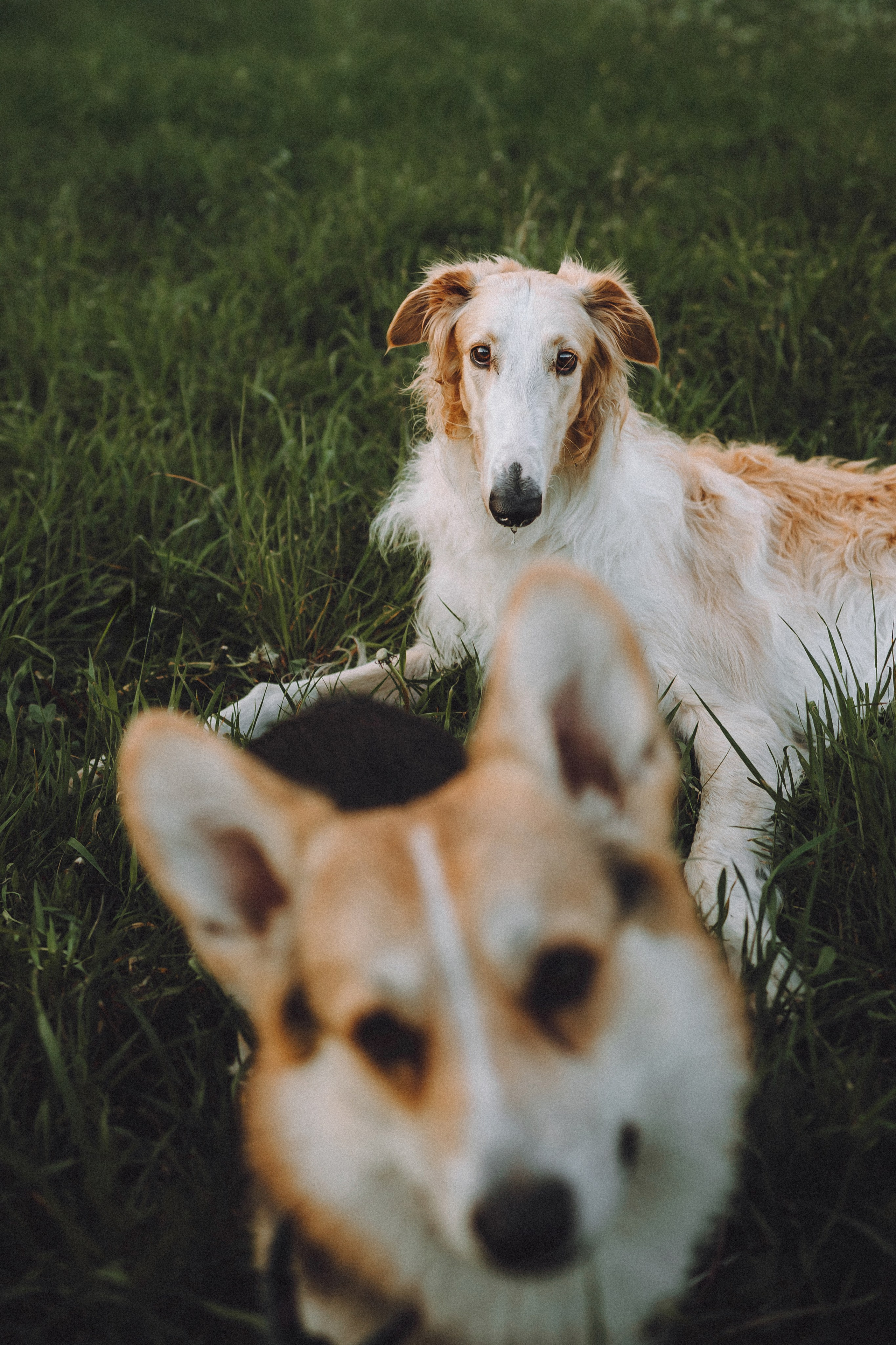 Илай, Зайка и их семья