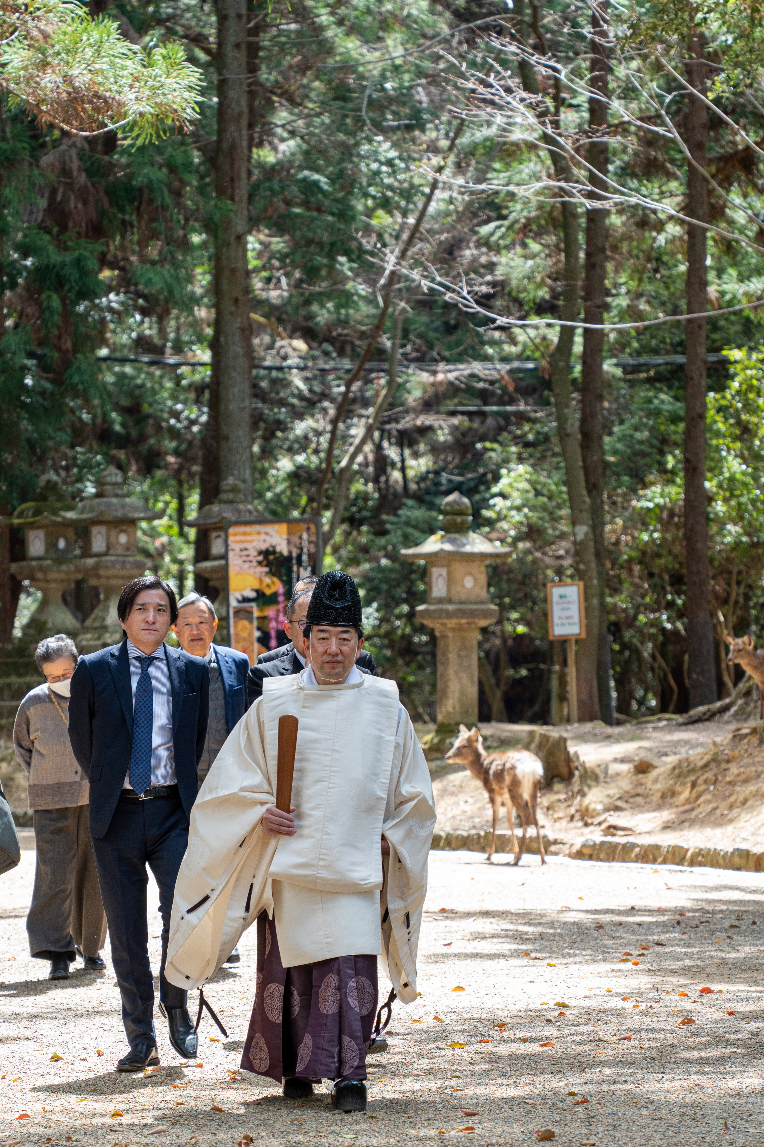 Япония, сакура. Творческие сьемки