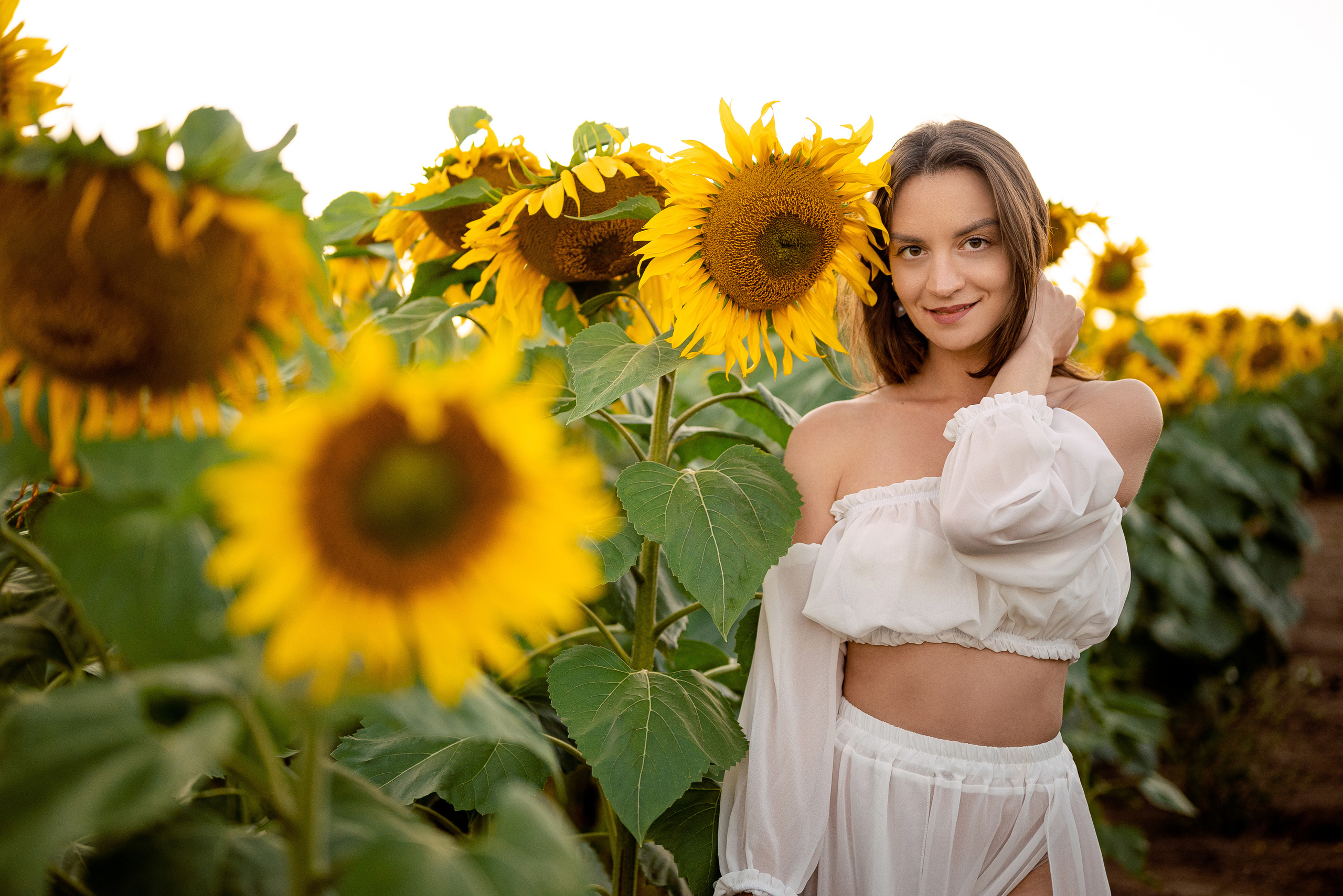 Подсолнуховый вечер. Свадебный и портретный фотограф в Минске Наташа Каракулова