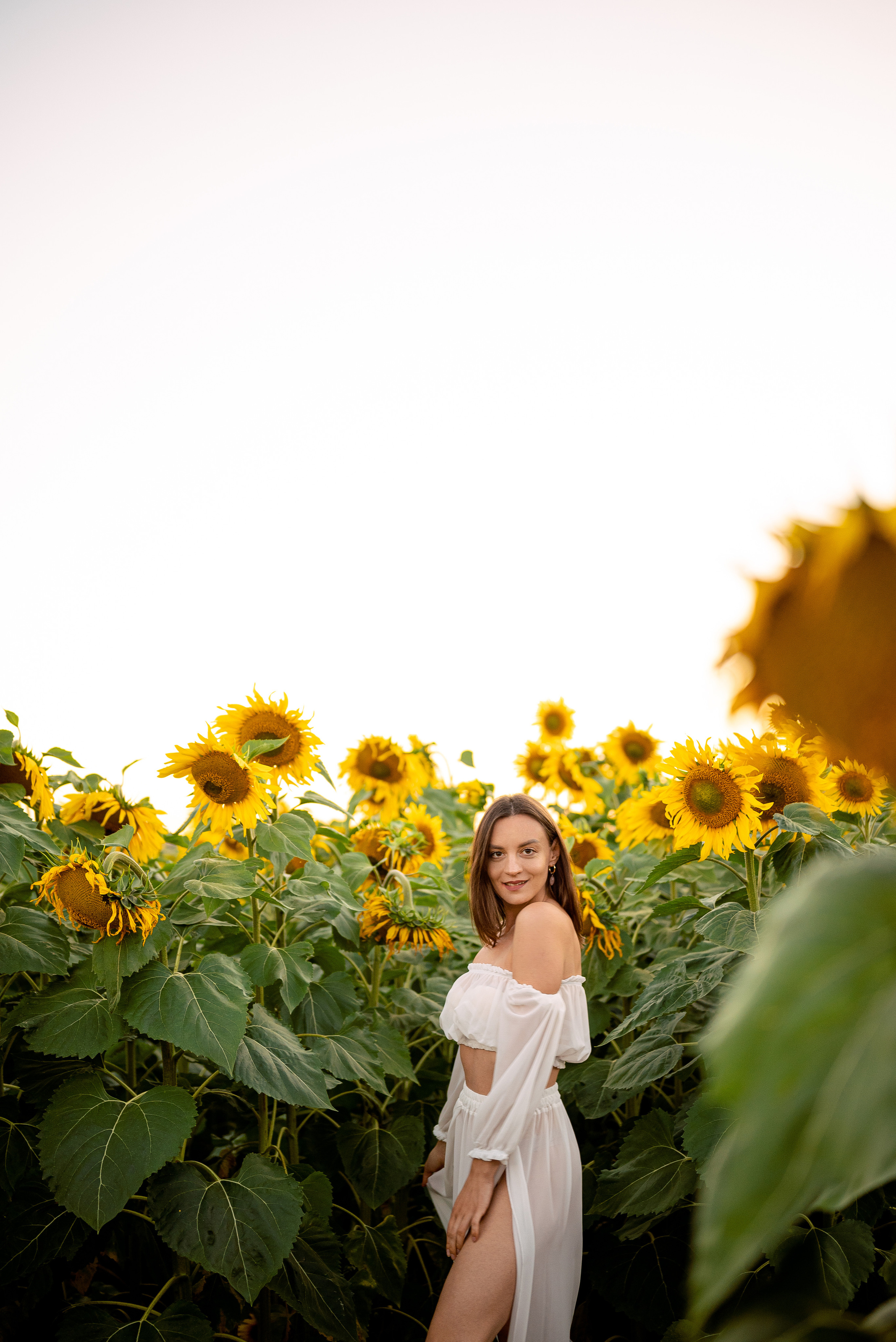 Подсолнуховый вечер. Свадебный и портретный фотограф в Минске Наташа Каракулова