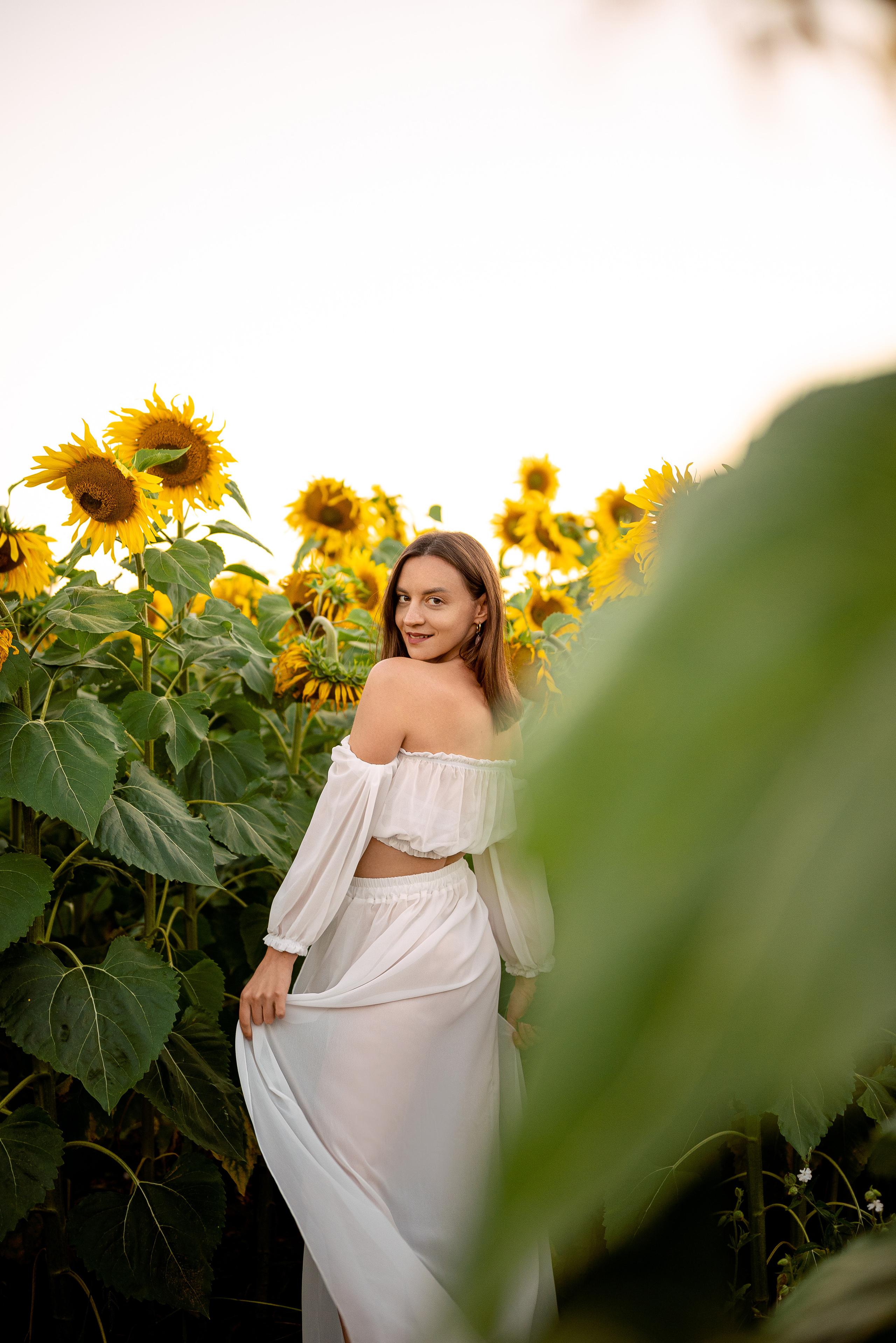 Подсолнуховый вечер. Свадебный и портретный фотограф в Минске Наташа Каракулова