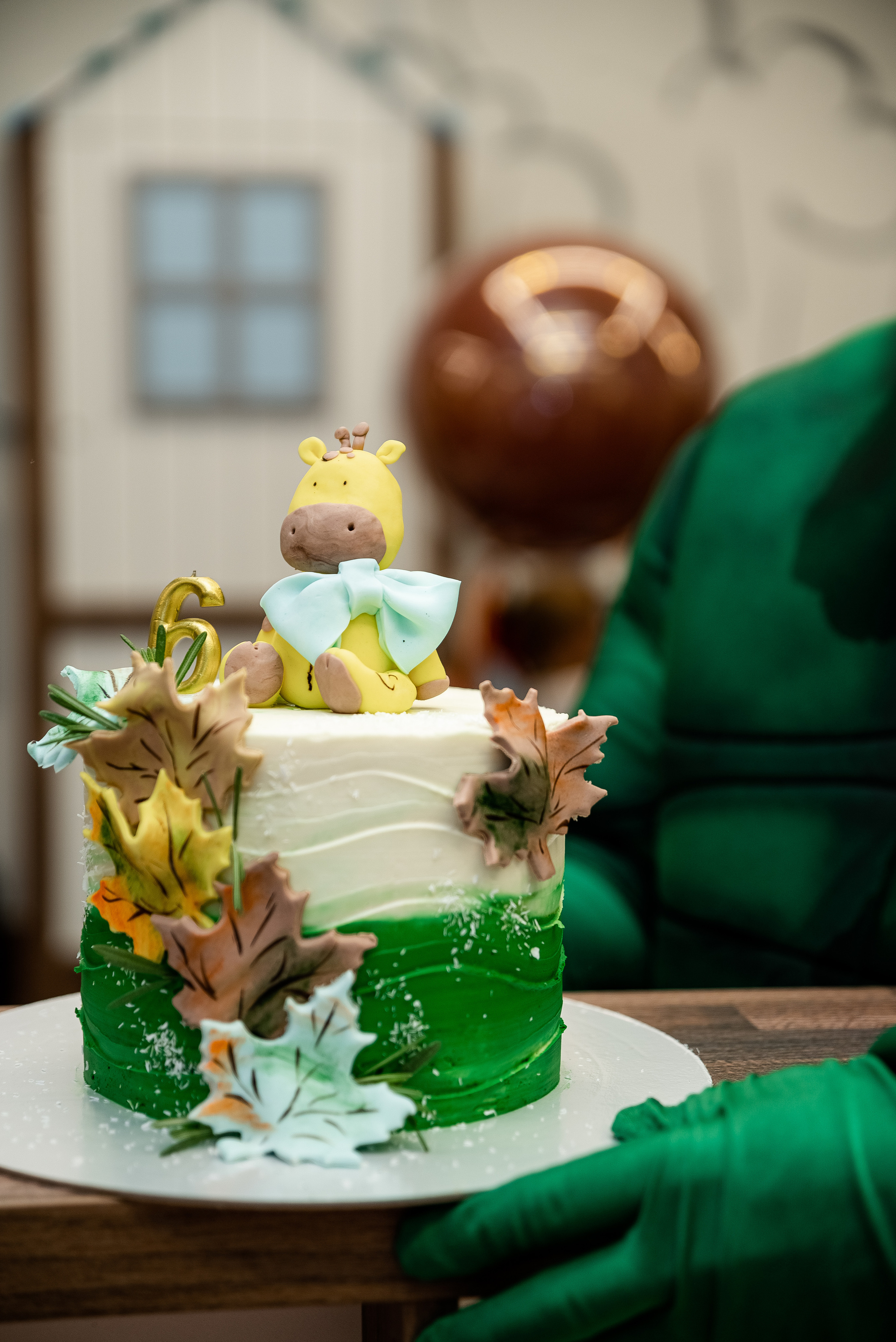 Детский День Рождения. Свадебный и портретный фотограф в Минске Наташа Каракулова