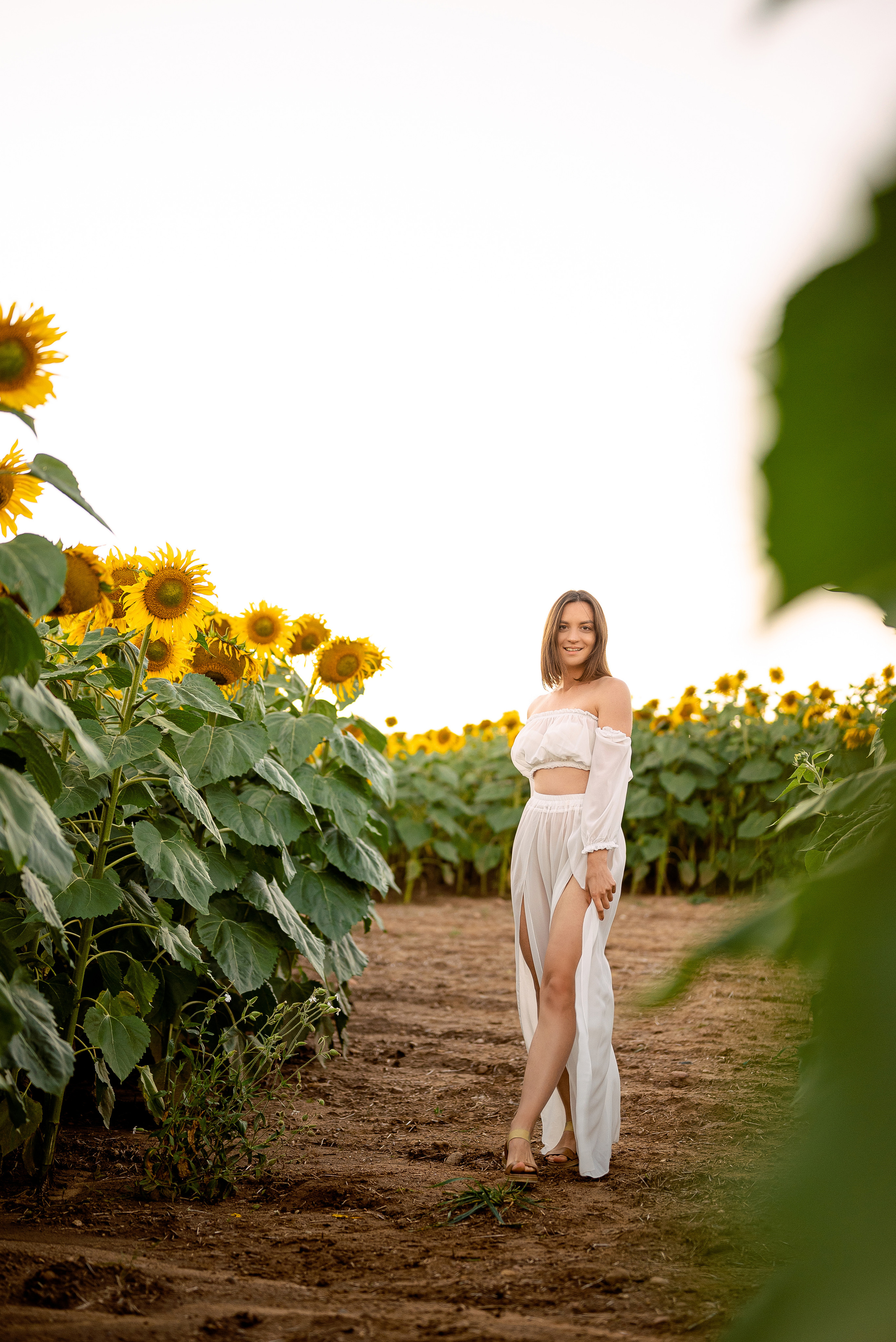 Подсолнуховый вечер. Свадебный и портретный фотограф в Минске Наташа Каракулова