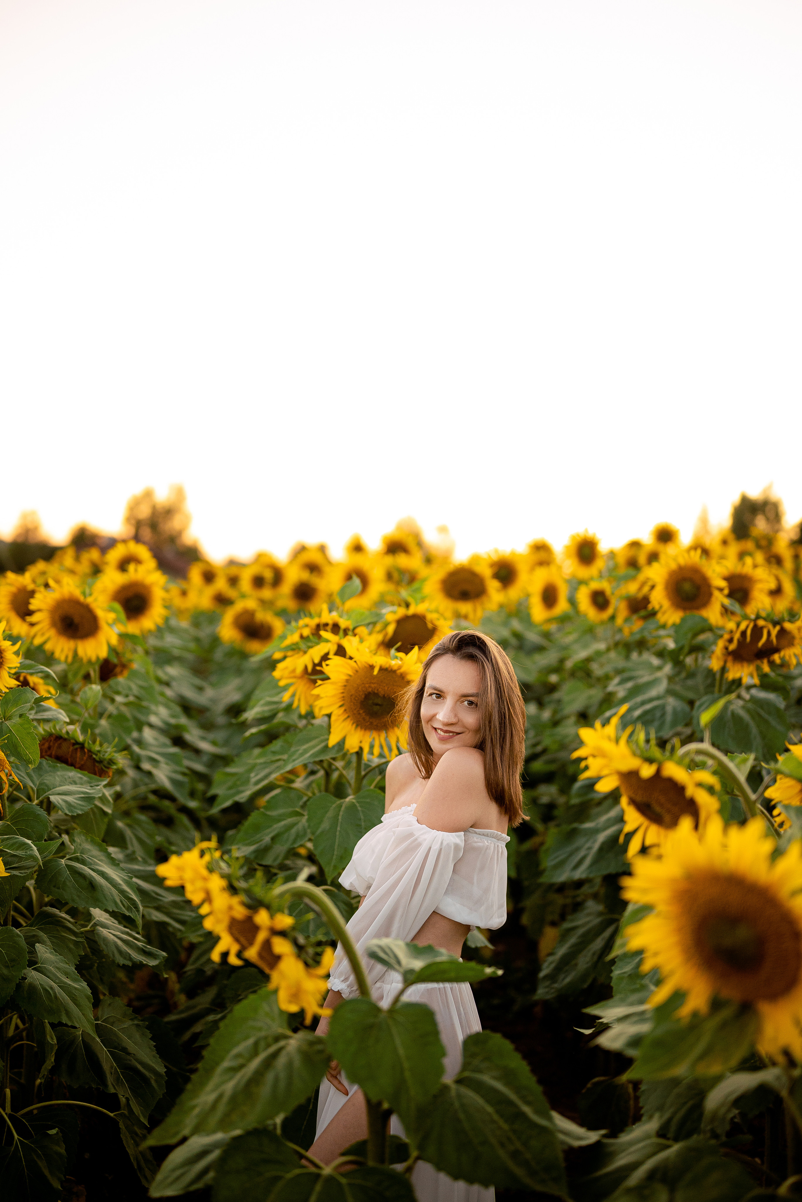 Подсолнуховый вечер. Свадебный и портретный фотограф в Минске Наташа Каракулова