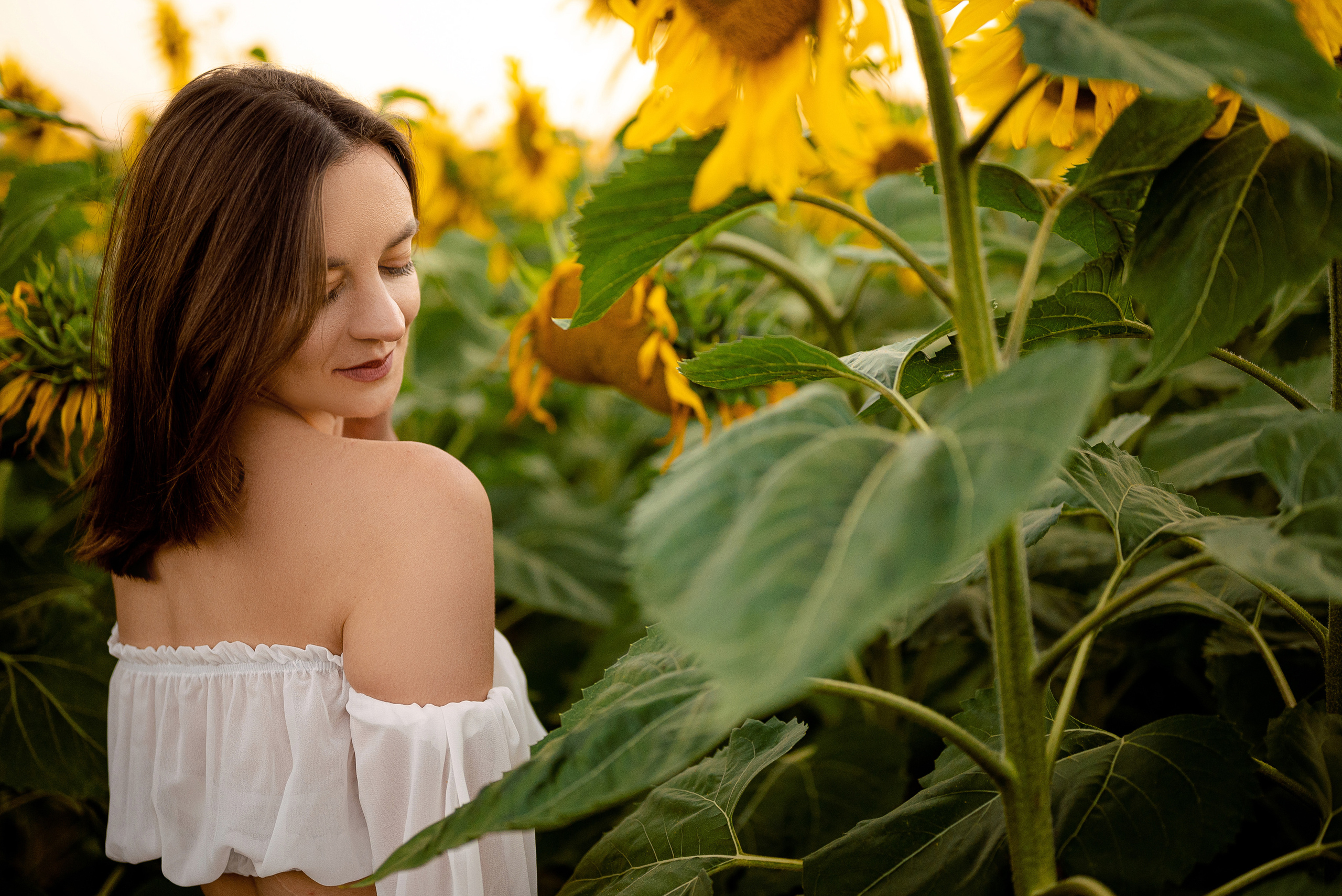 Подсолнуховый вечер. Свадебный и портретный фотограф в Минске Наташа Каракулова