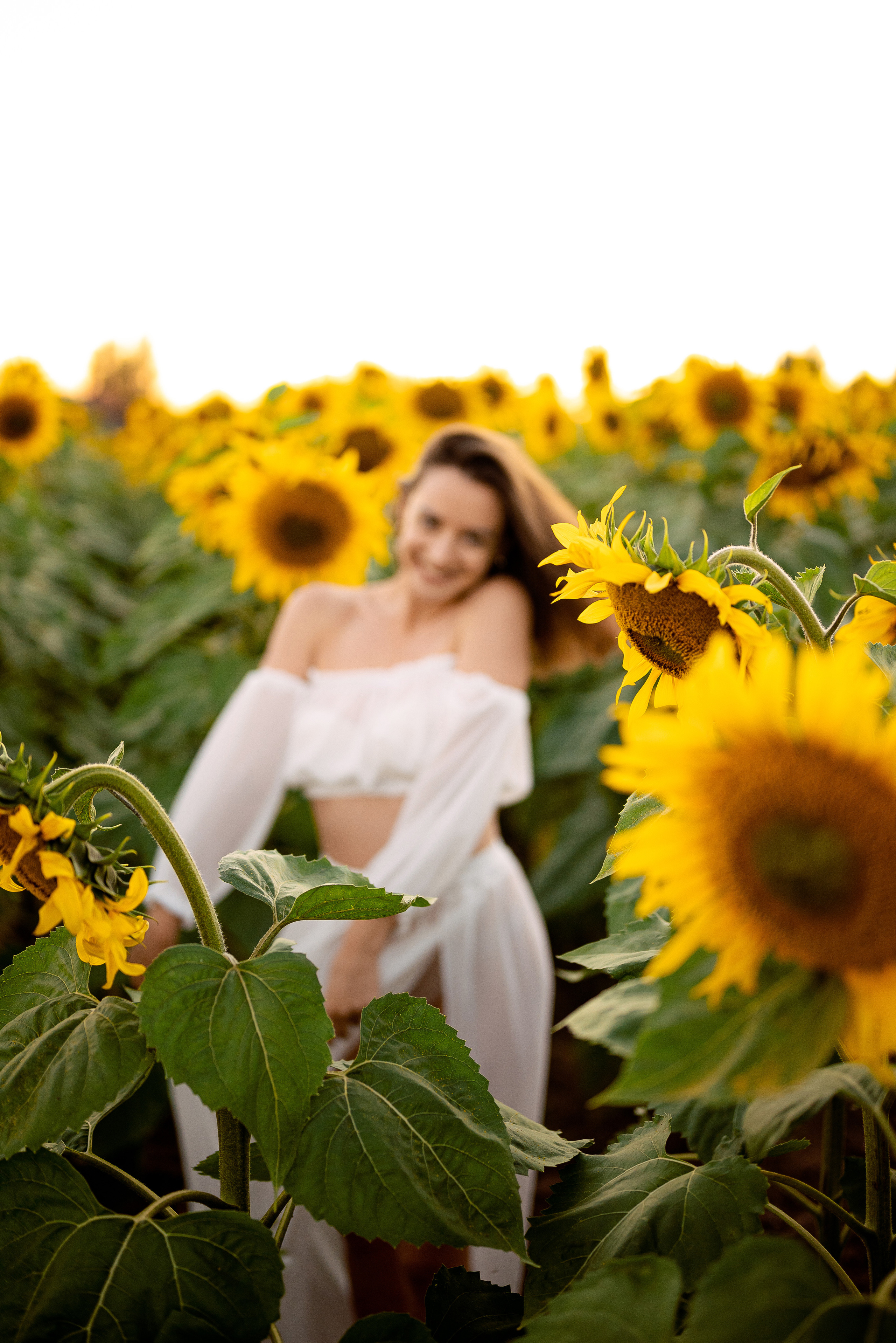 Подсолнуховый вечер. Свадебный и портретный фотограф в Минске Наташа Каракулова