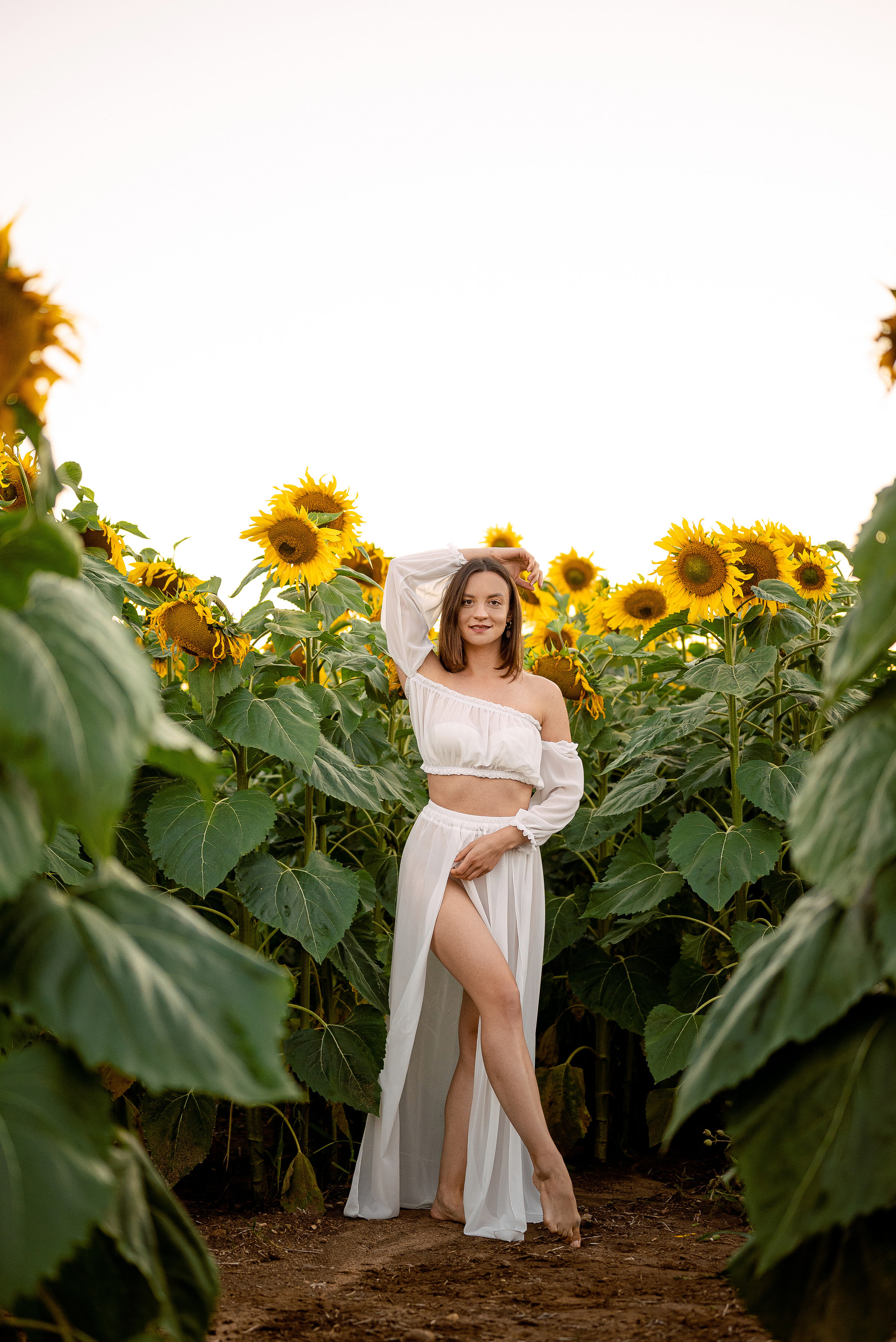 Подсолнуховый вечер. Свадебный и портретный фотограф в Минске Наташа Каракулова