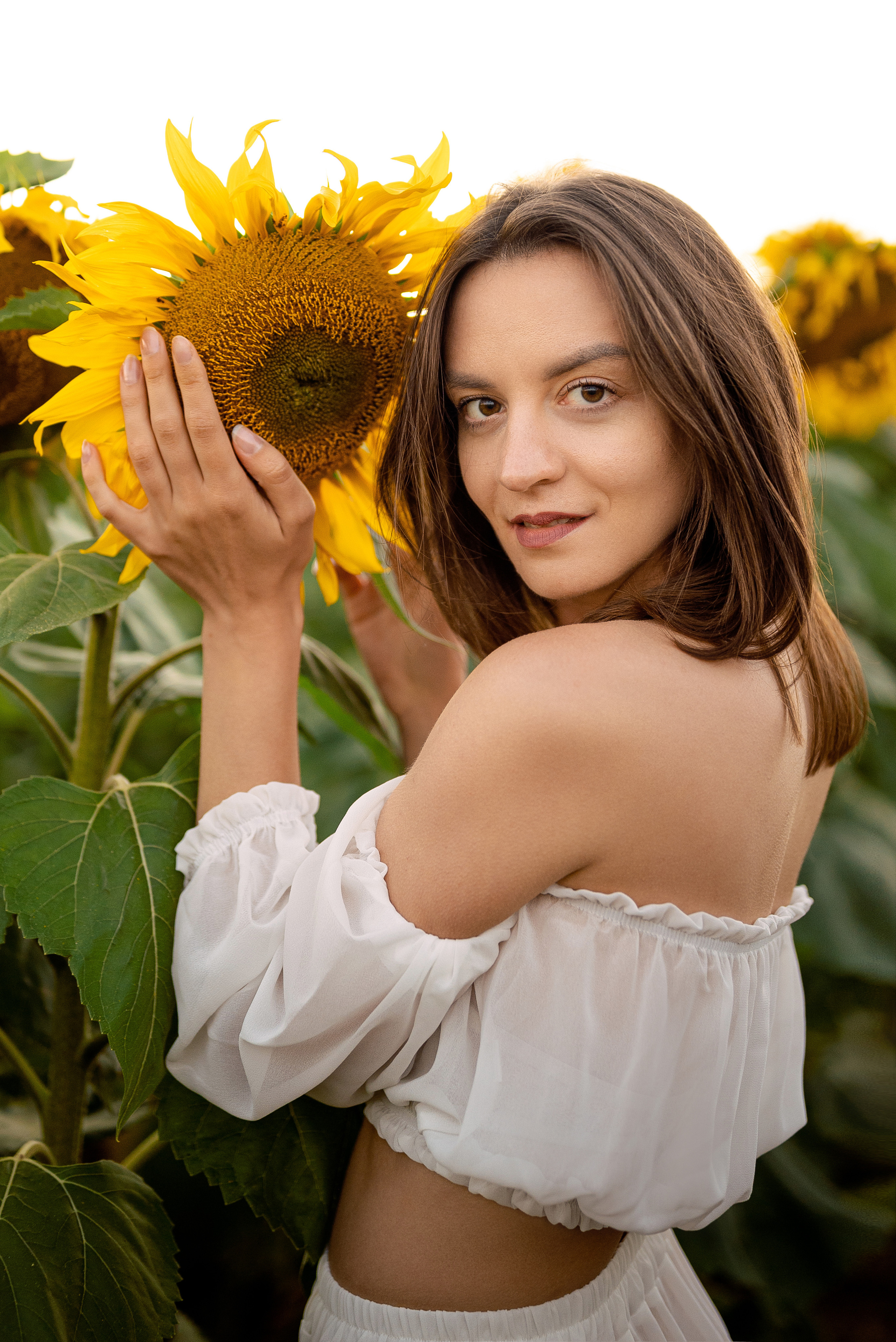 Подсолнуховый вечер. Свадебный и портретный фотограф в Минске Наташа Каракулова