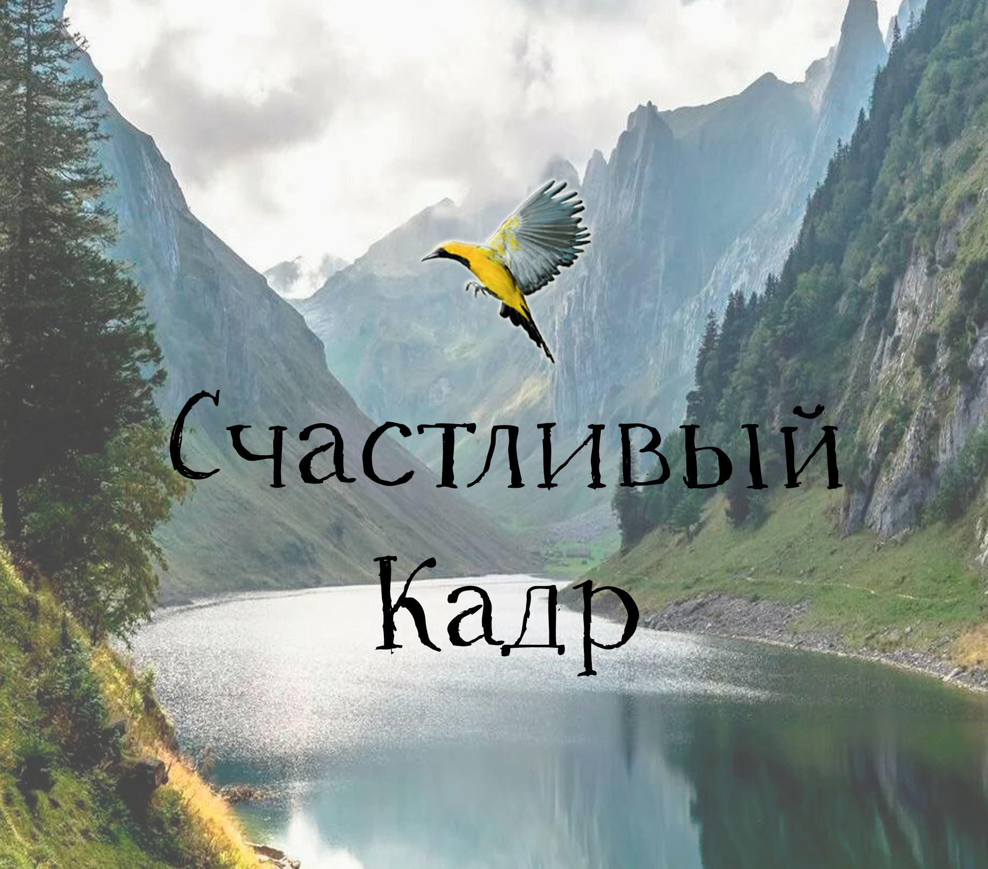Услуги. Счастливый кадр
