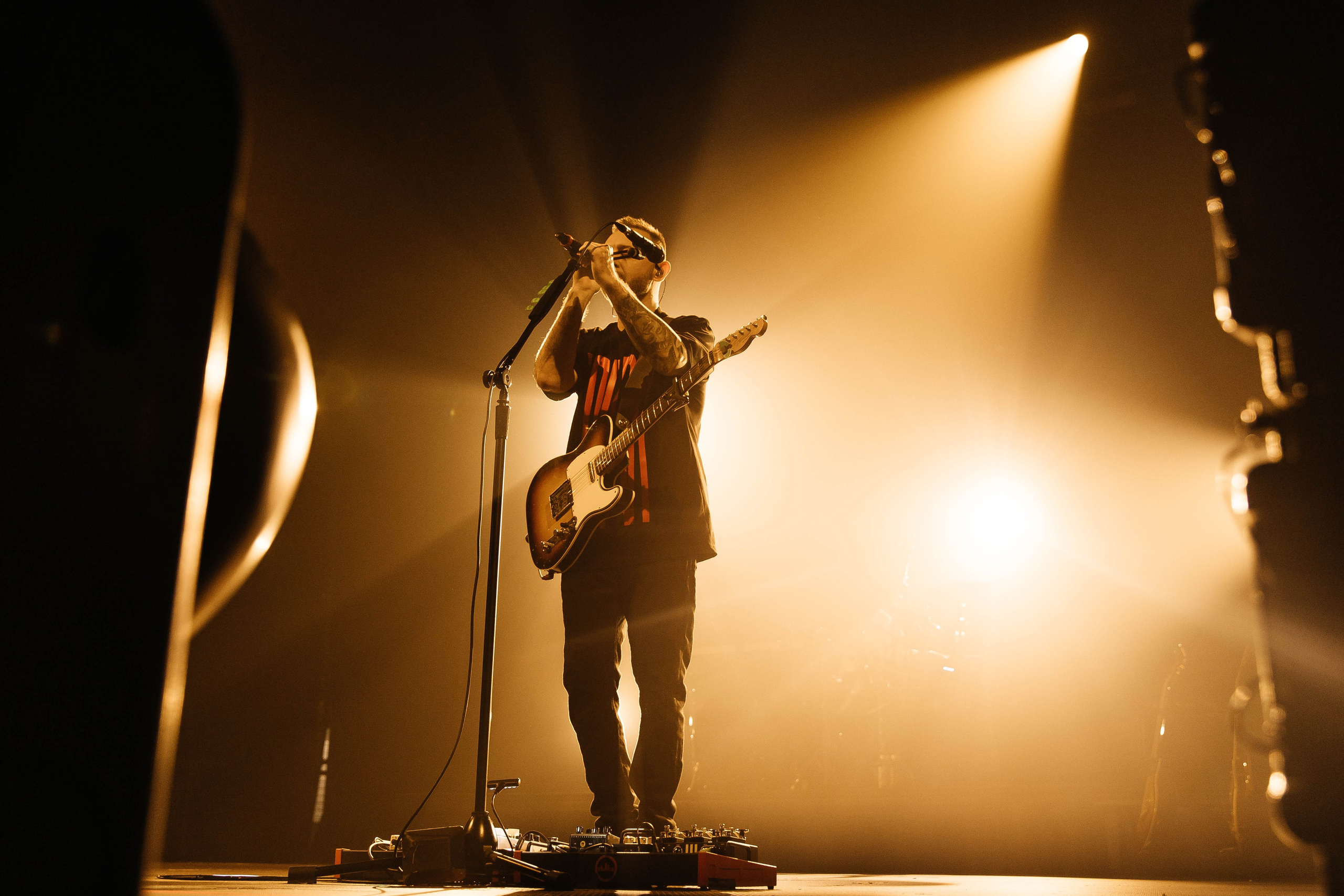 Звери. _Carpe diem_