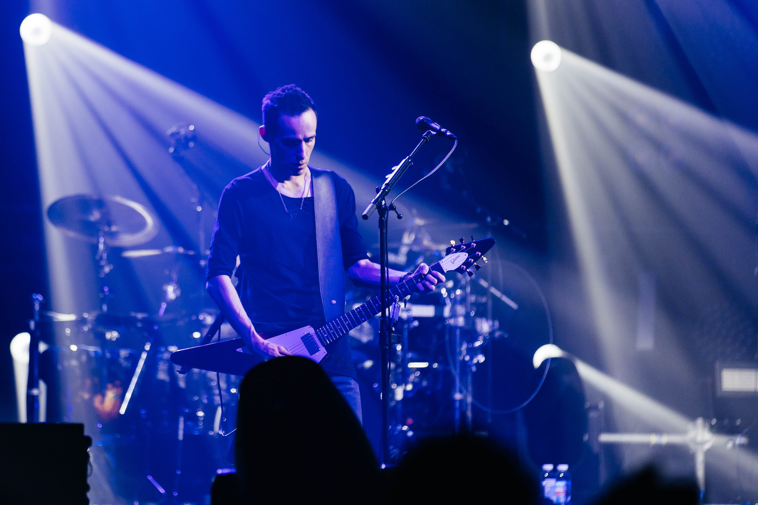 Звери. _Carpe diem_